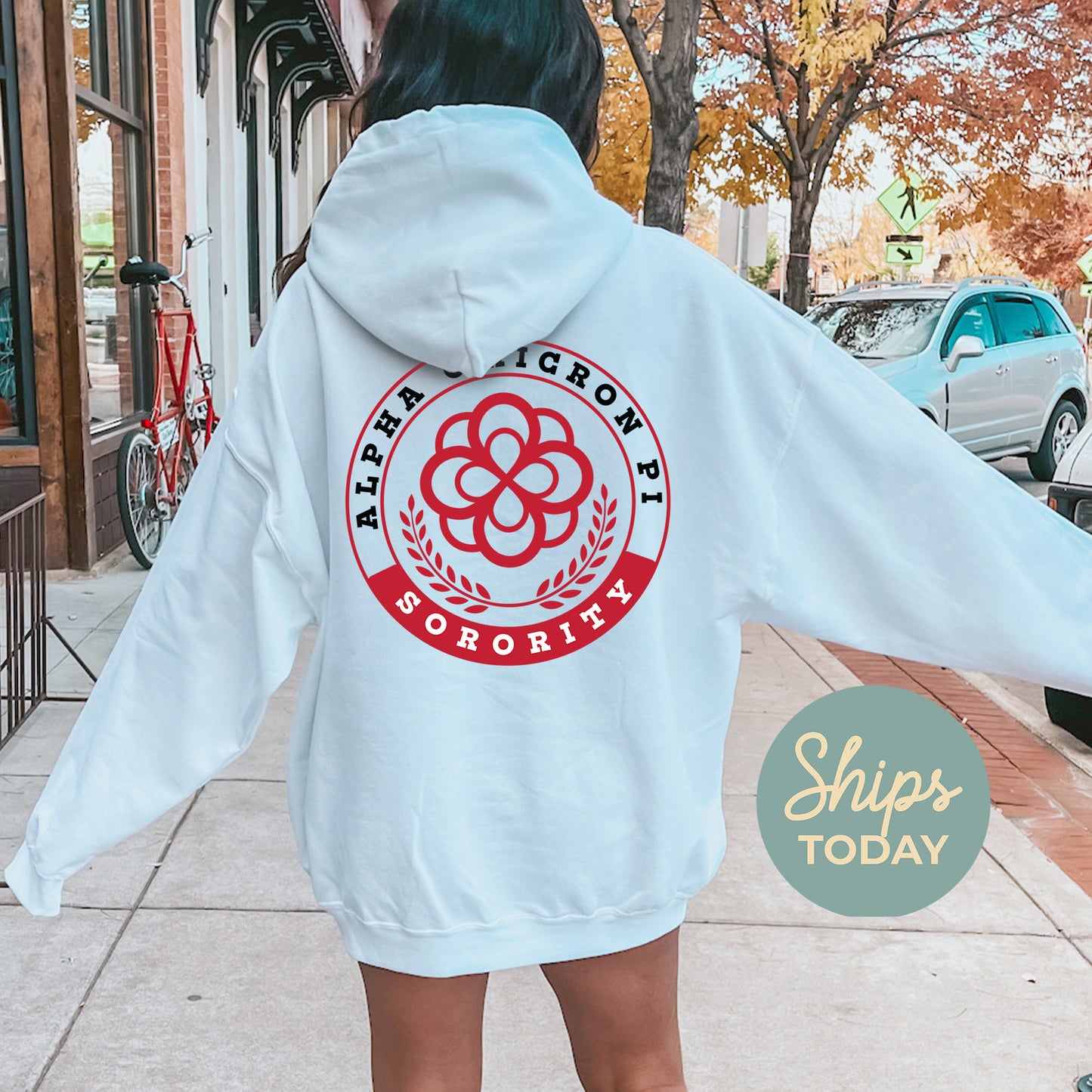 Alpha Omicron Pi Crested Tradition Sorority Hoodie _ 32820g