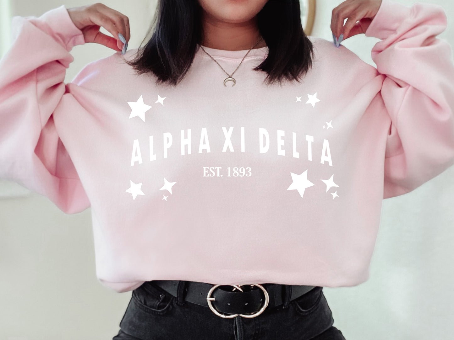 Alpha Xi Delta Arched Star Sorority Sweatshirt _ 2272g