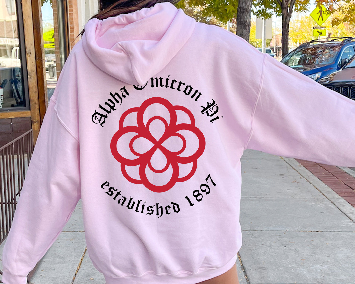 Alpha Omicron Pi Old English Crest Sorority Hoodie _ 32924g