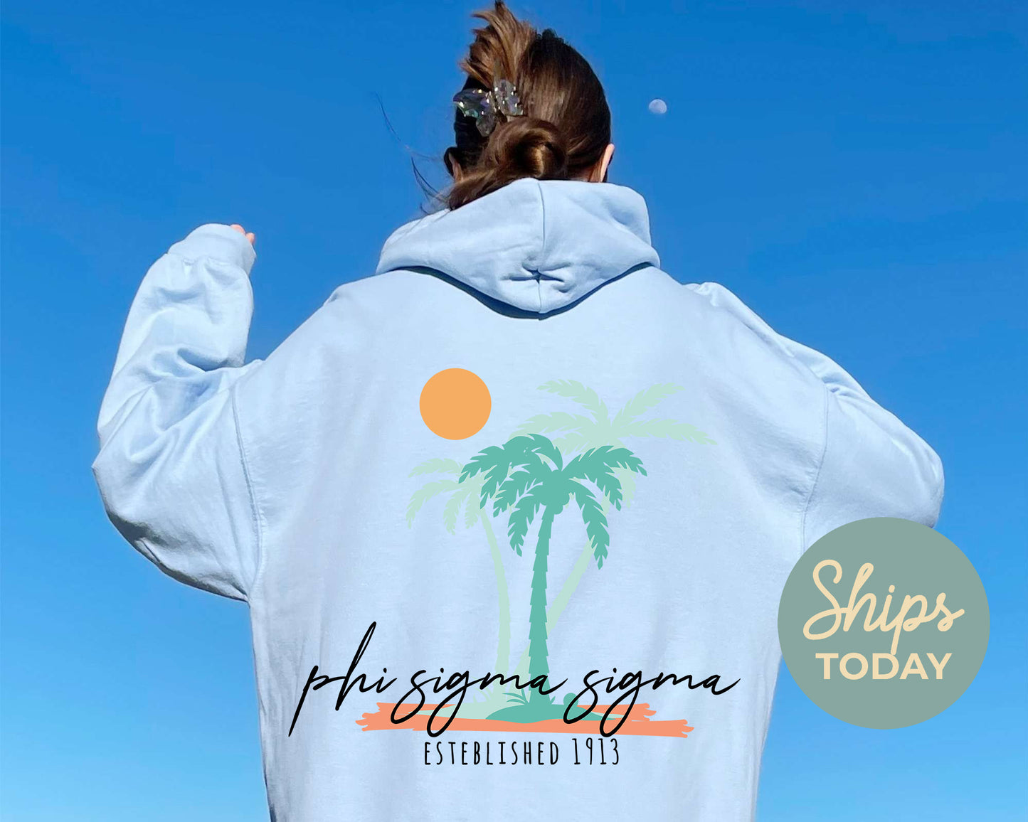 Phi Sigma Sigma Island Sisterhood Sorority Hoodie _ 33578g