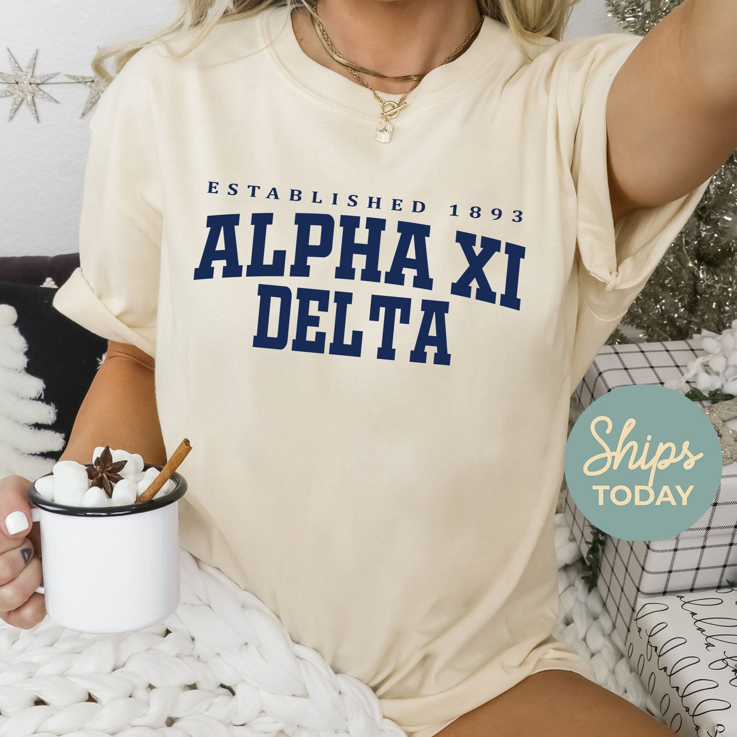 Alpha Xi Delta Bold Letters Sorority T-shirt _ 35128g