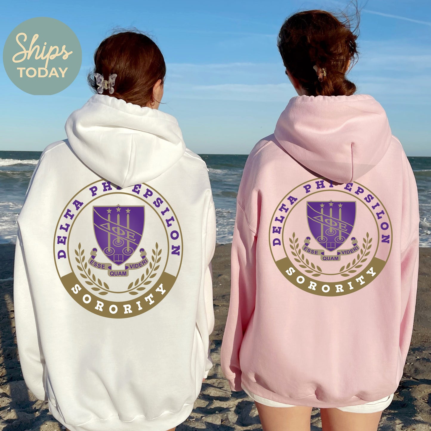 Delta Phi Epsilon Crested Tradition Sorority Hoodie _ 32828g