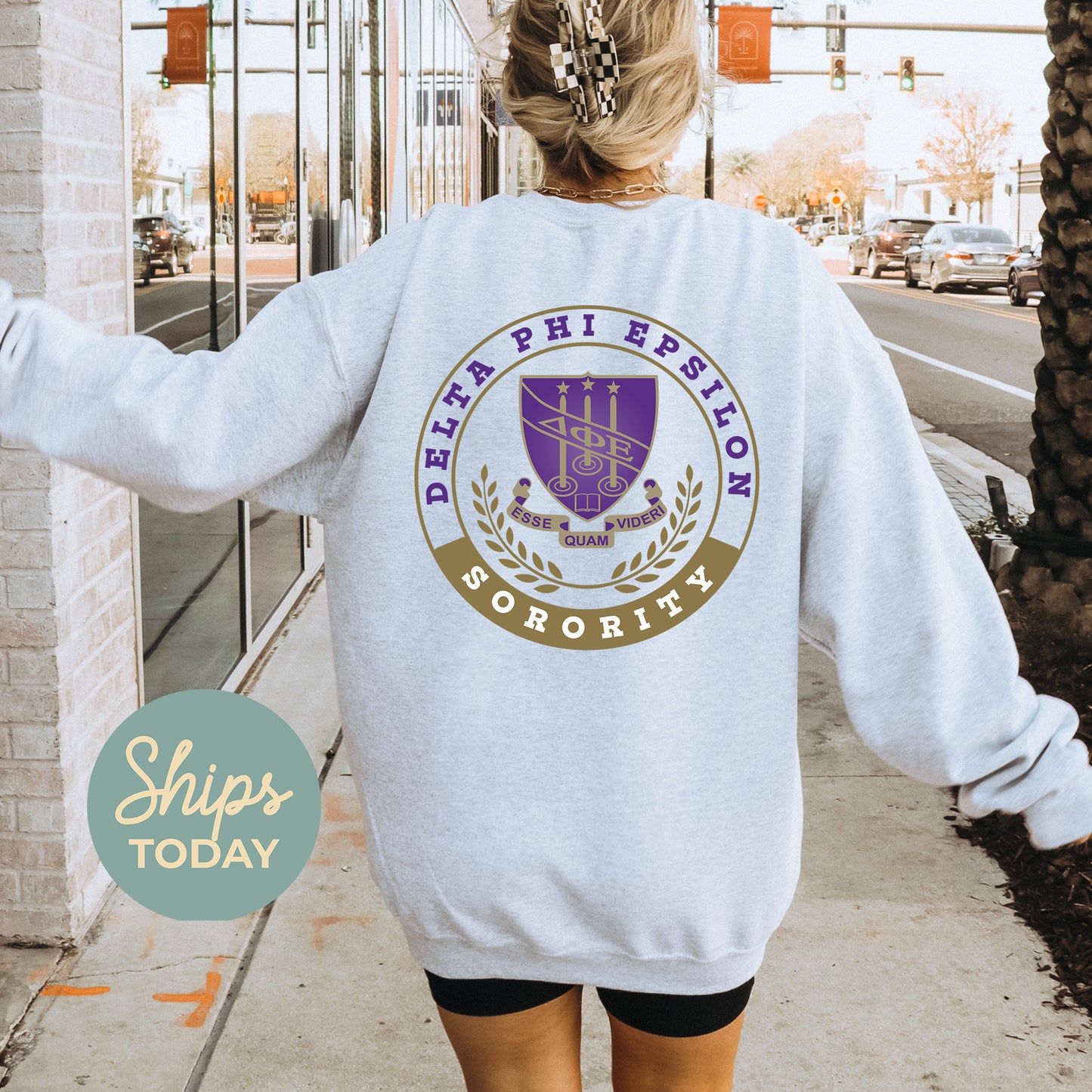 Delta Phi Epsilon Crested Tradition Sorority Sweatshirt _ 32828g