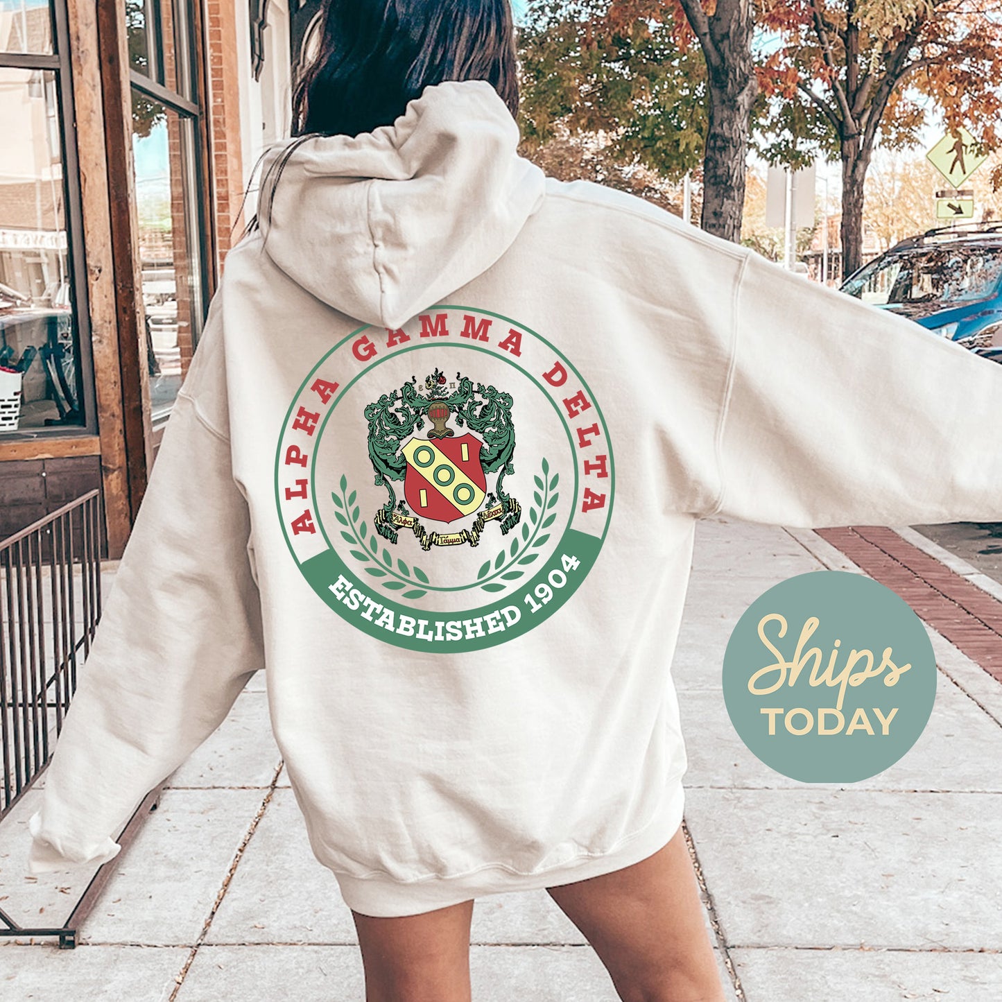 Alpha Gamma Delta Crested Tradition Sorority Hoodie _ 32819g