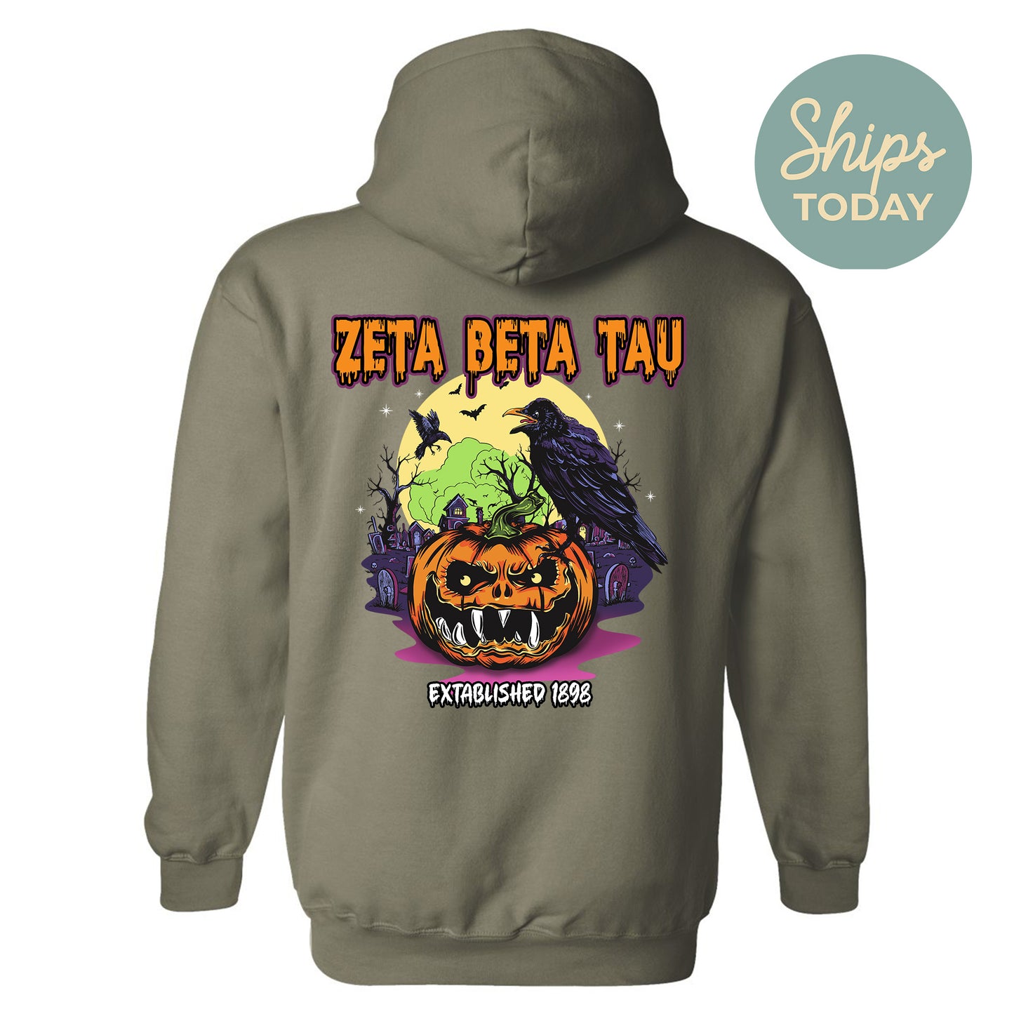 Zeta Beta Tau Halloween Bats Fraternity Hoodie _ 36281g