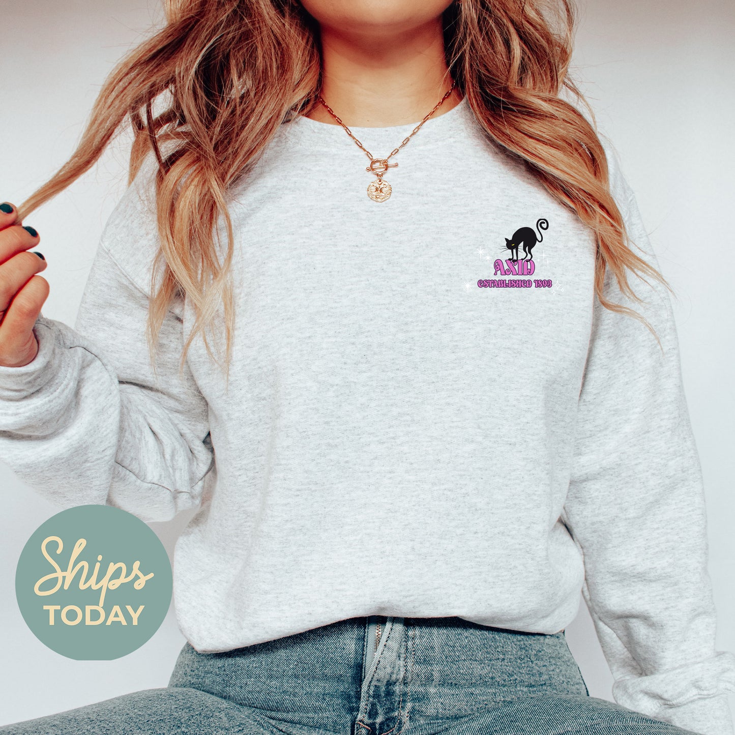 Alpha Xi Delta Halloween Witch Sorority Sweatshirt _ 36234g