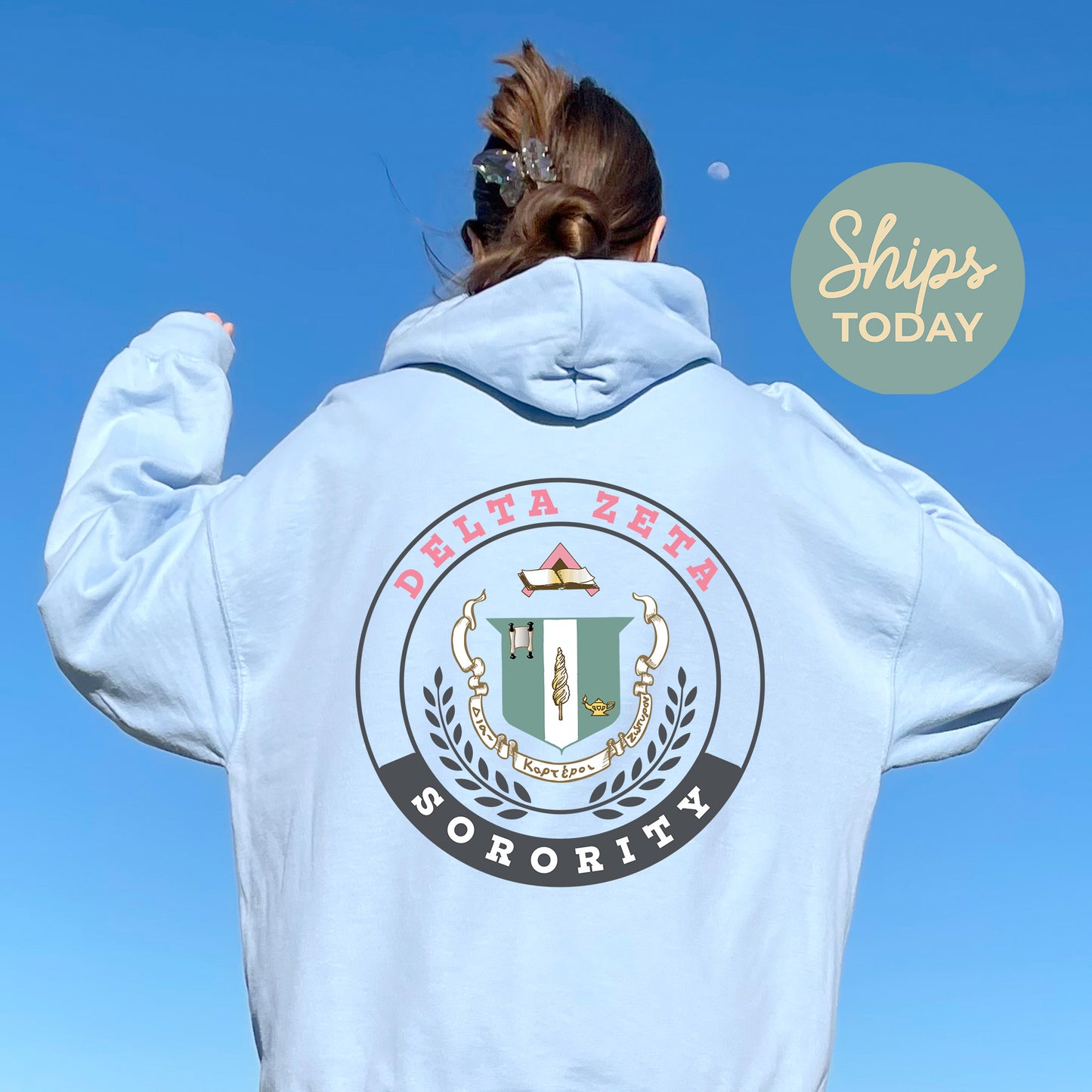 Delta Zeta Crested Tradition Sorority Hoodie _ 32829g