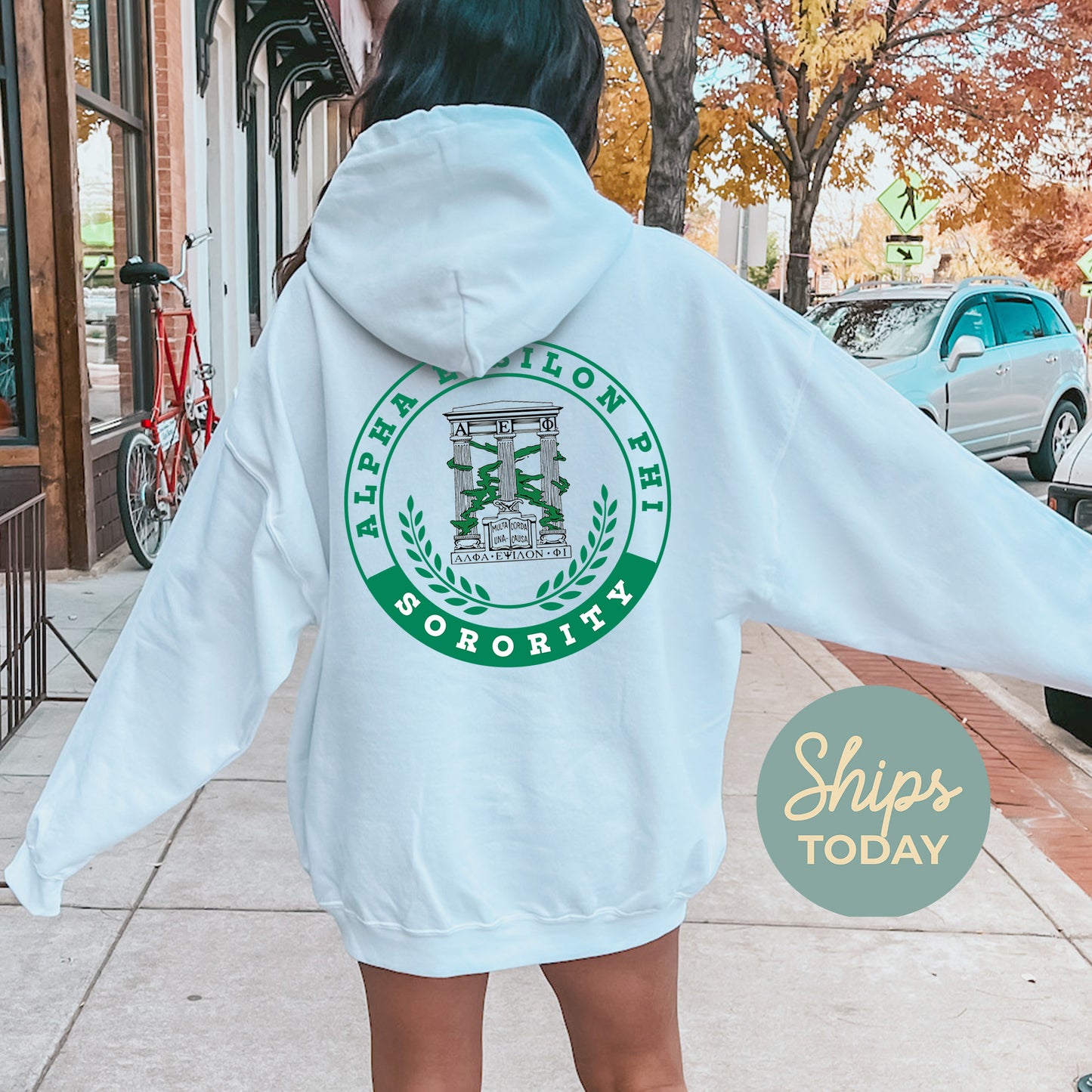 Alpha Epsilon Phi Crested Tradition Sorority Hoodie _ 32818g