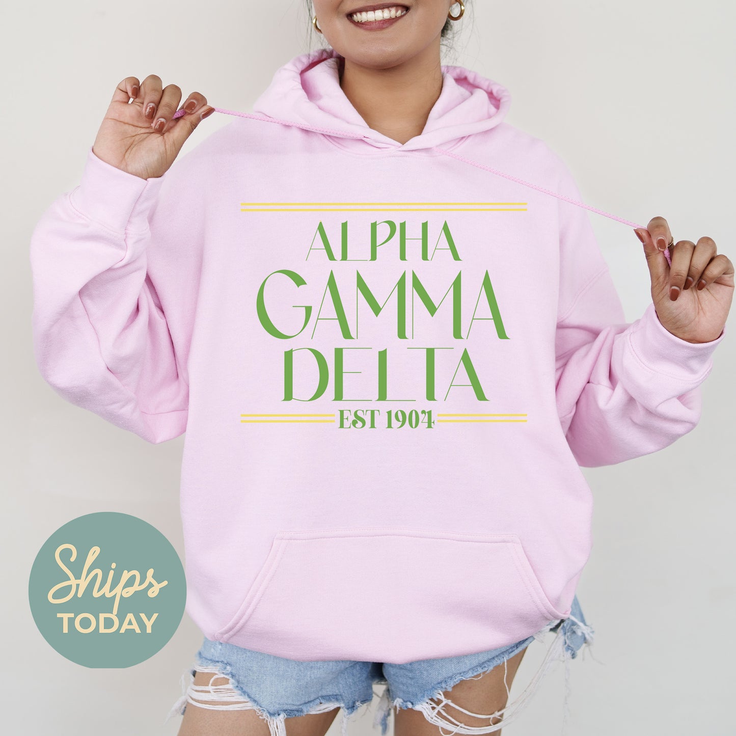 Alpha Gamma Delta Greek Harmony Sorority Hoodie _ 34967g