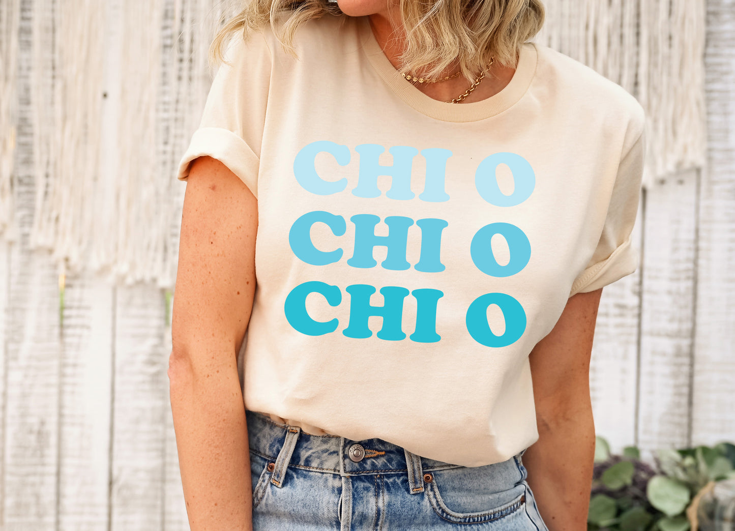 Chi Omega Touch of Blue Sorority T-shirt _ 2586g