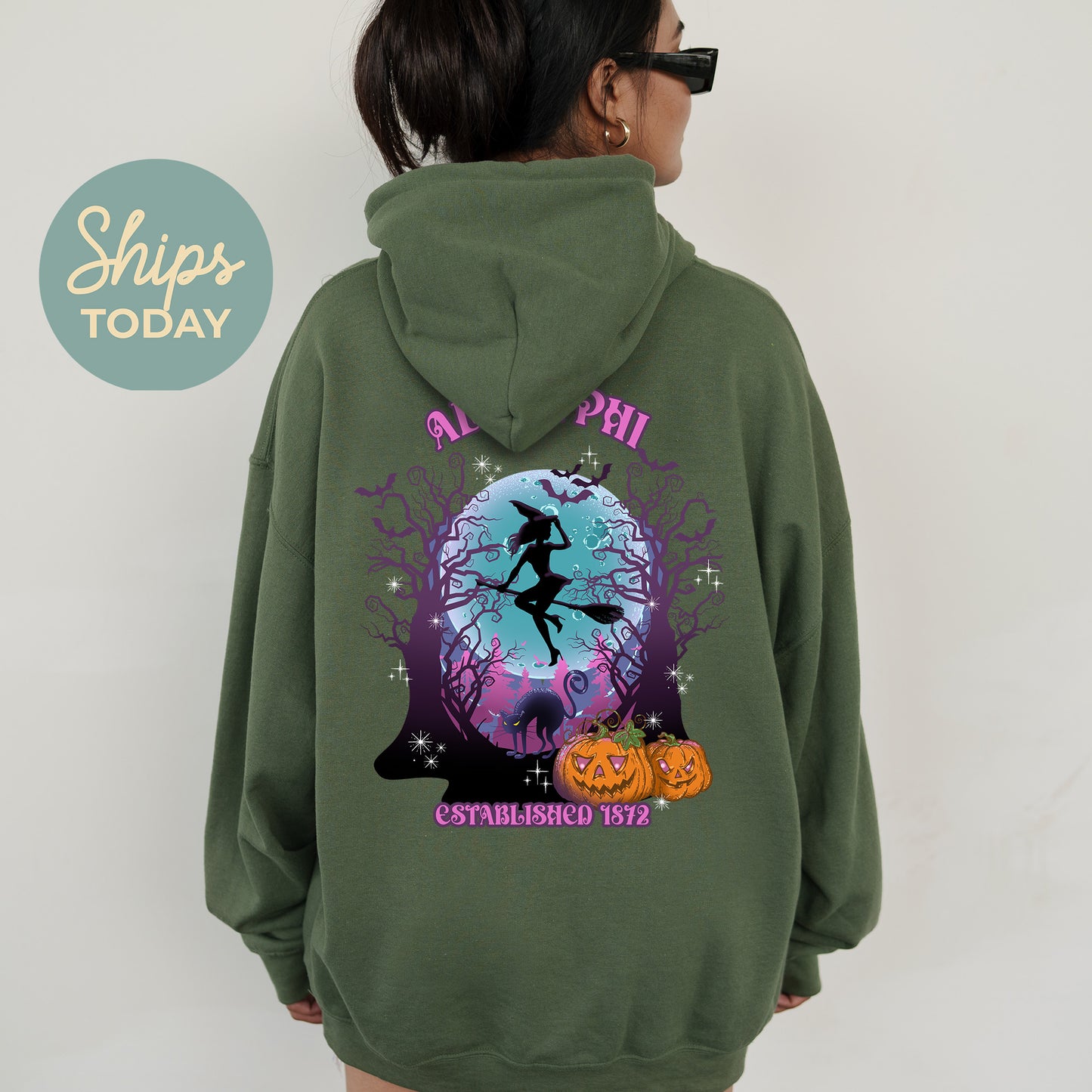 Alpha Phi Halloween Witch Sorority Hoodie _ 36231g
