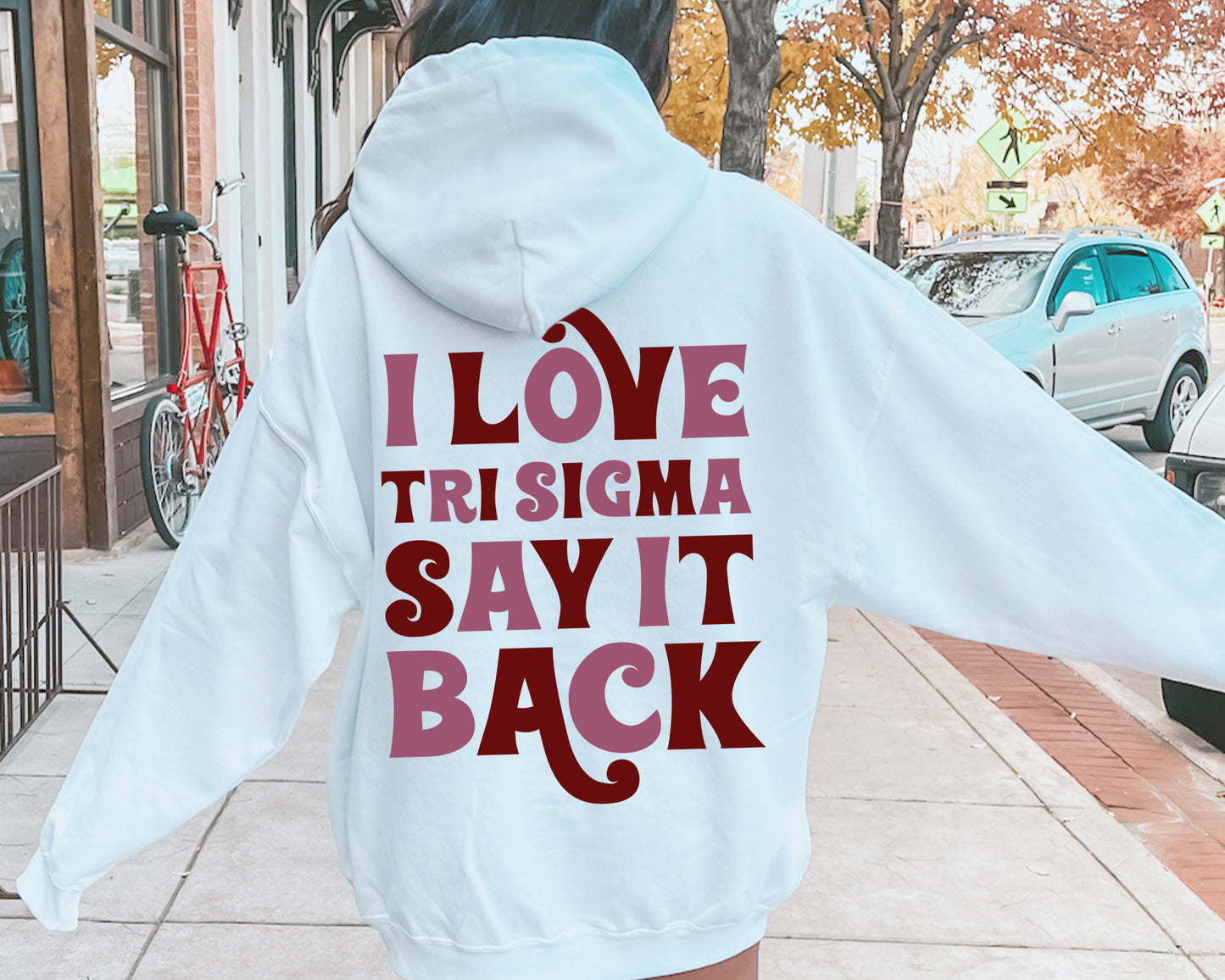 Sigma Sigma Sigma Say it Back Sorority Hoodie _ 33395g