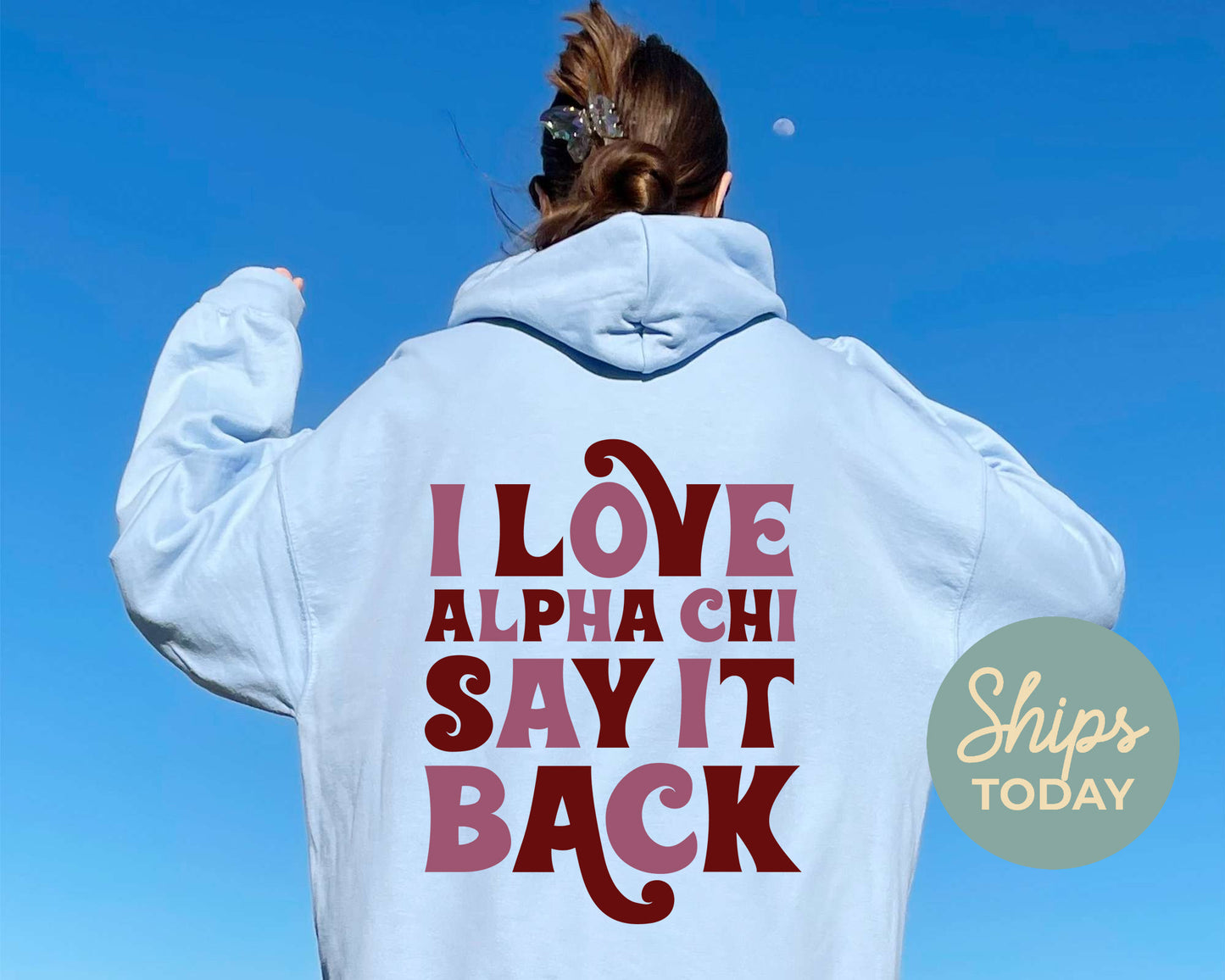 Alpha Chi Omega Say it Back Sorority Hoodie _ 33372g