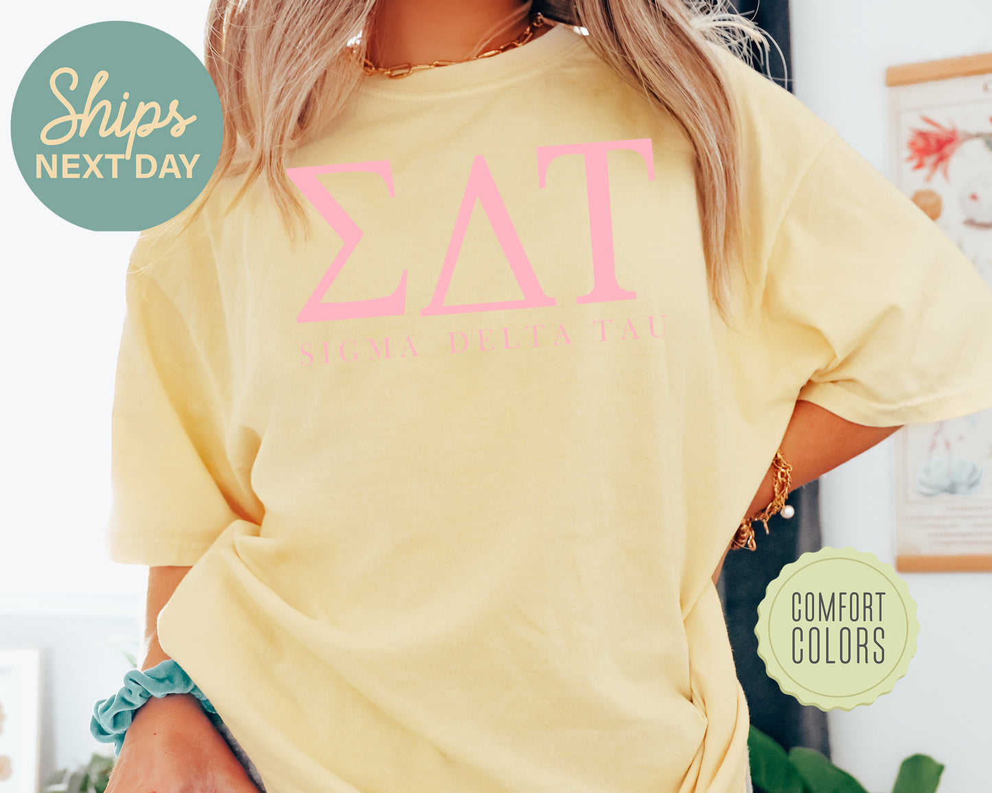 Sigma Delta Tau Everything Pink Comfort Colors Sorority T-shirt _ 331g