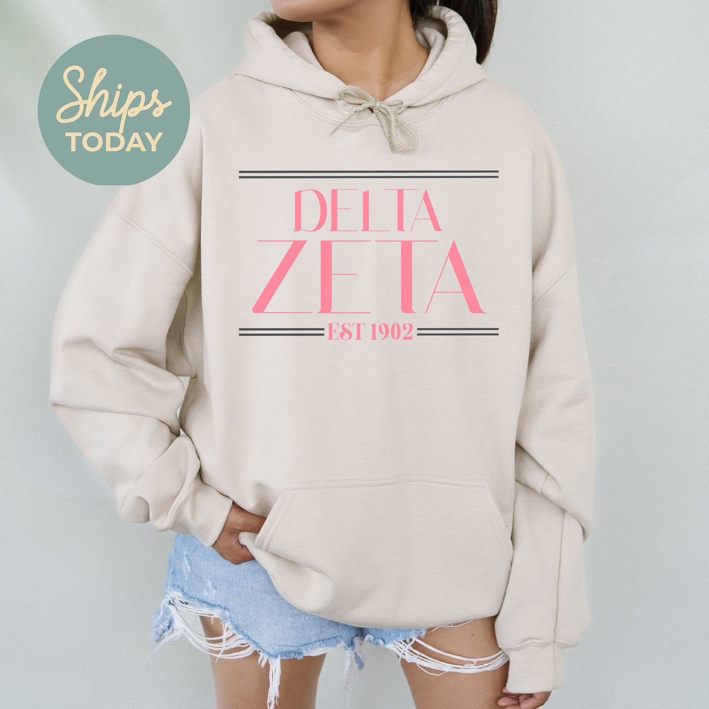 Delta Zeta Greek Harmony Sorority Hoodie _ 34977g