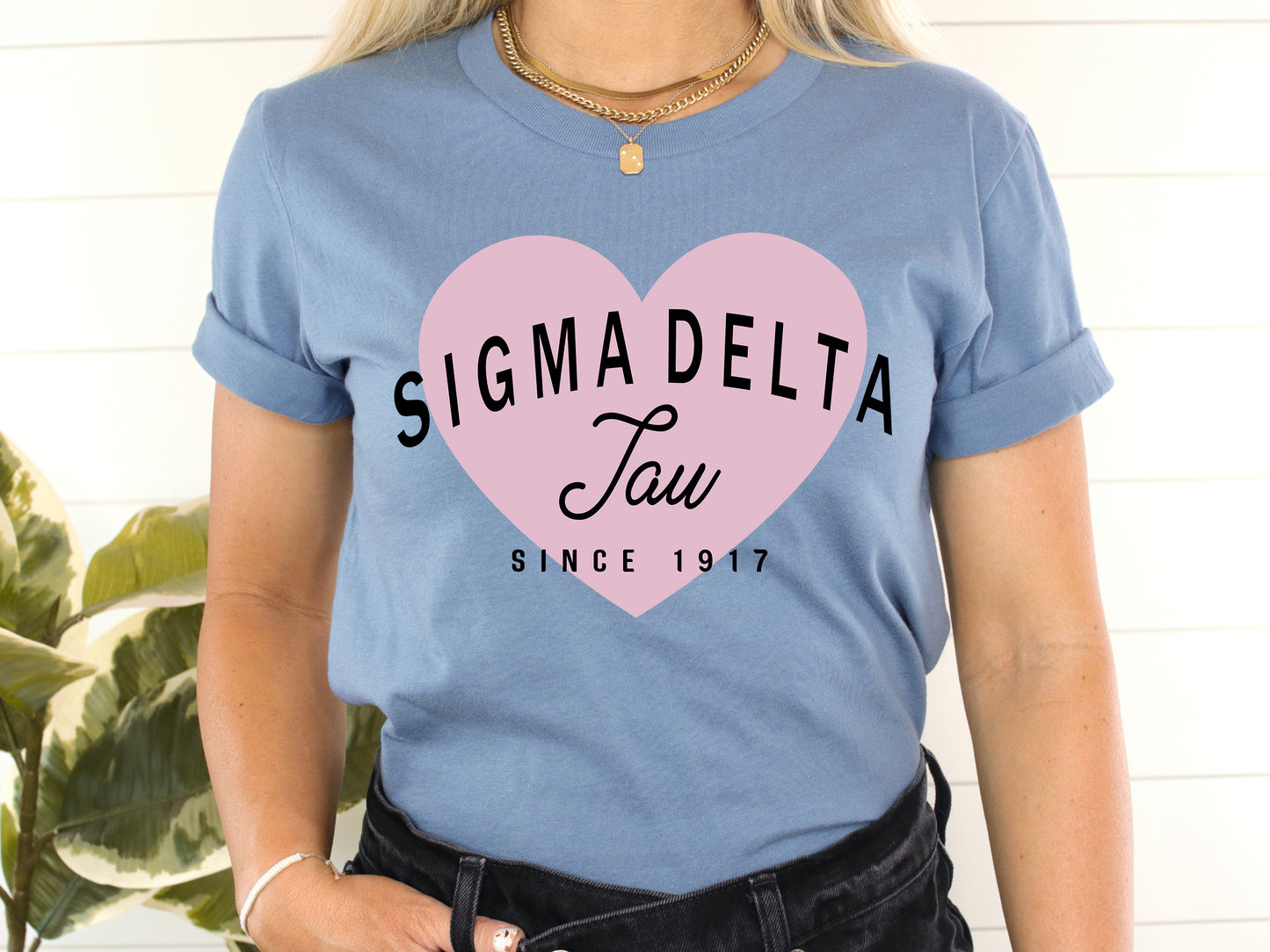 Sigma Delta Tau Pretty in Pink Sorority T-shirt _ 461g