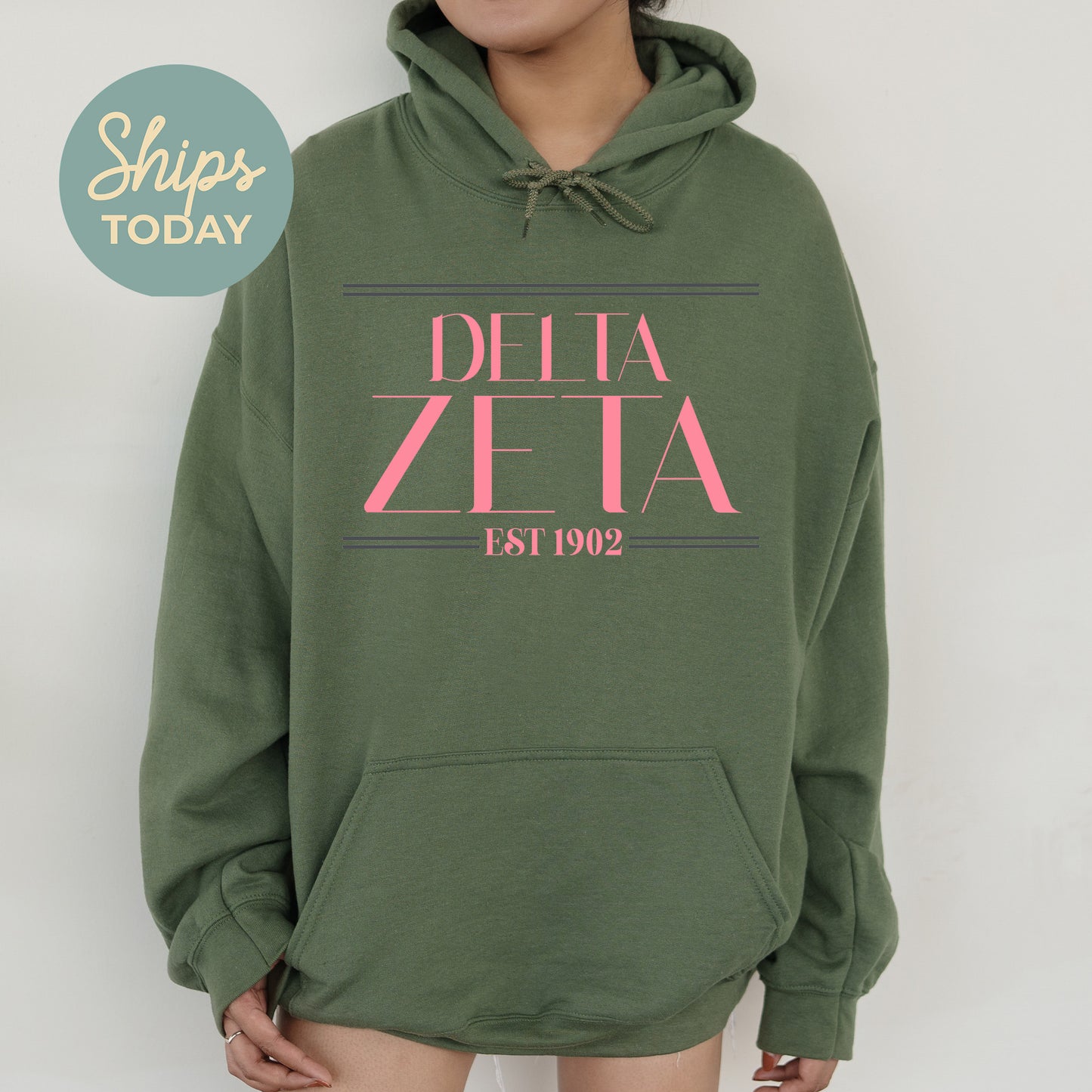 Delta Zeta Greek Harmony Sorority Hoodie _ 34977g