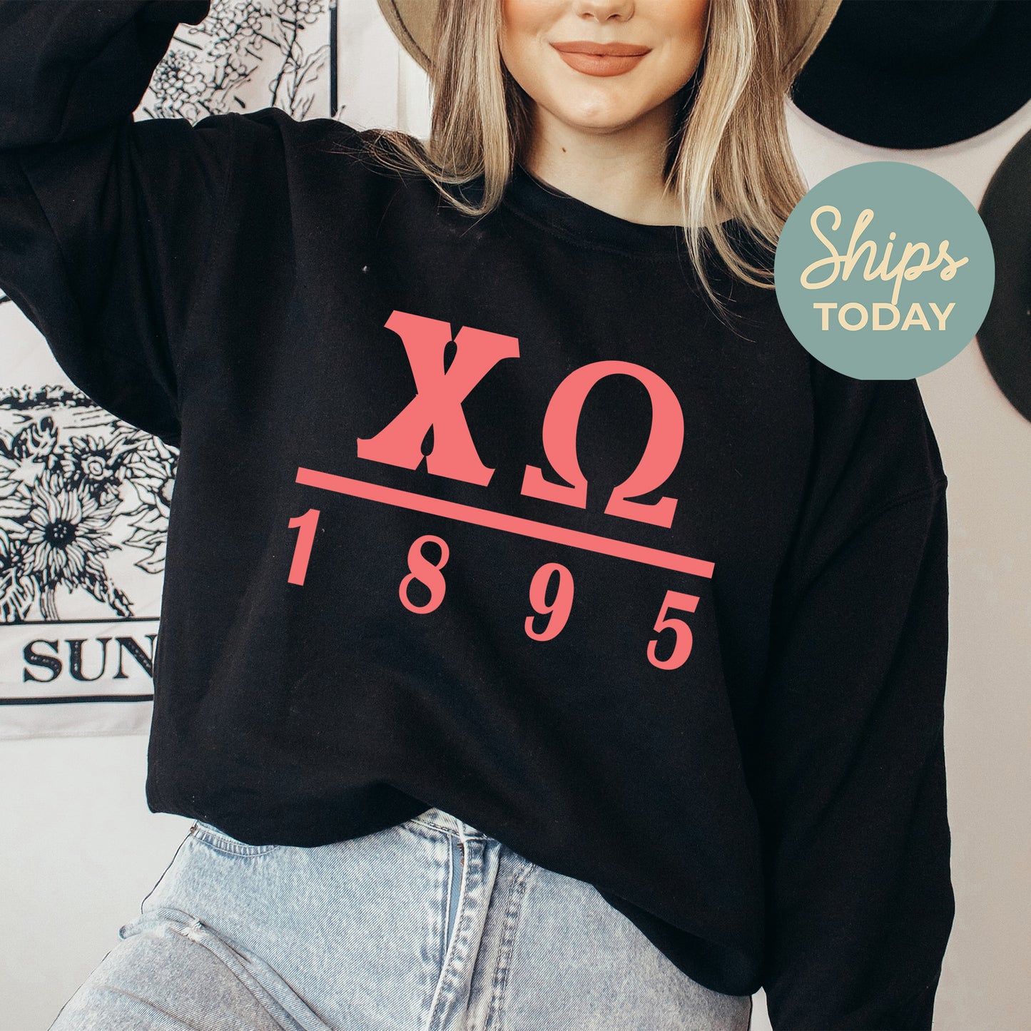 Chi Omega Monochromatic Sorority Sweatshirt _ 30852g