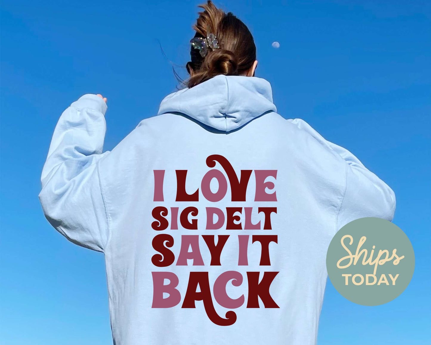 Sigma Delta Tau Say it Back Sorority Hoodie _ 33393g