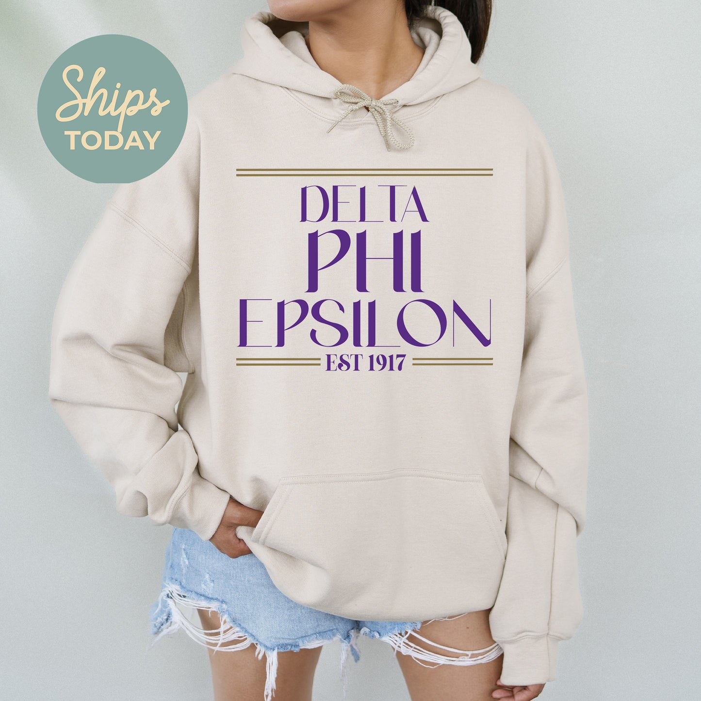 Delta Phi Epsilon Greek Harmony Sorority Hoodie _ 34976g