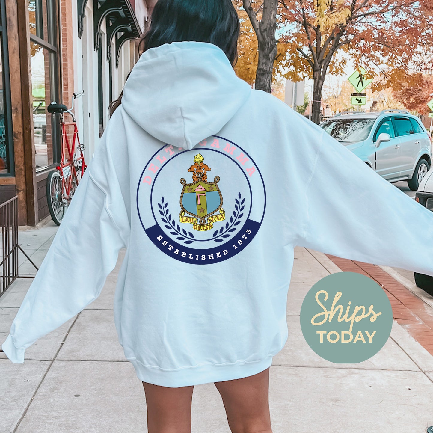 Delta Gamma Crested Tradition Sorority Hoodie _ 32827g