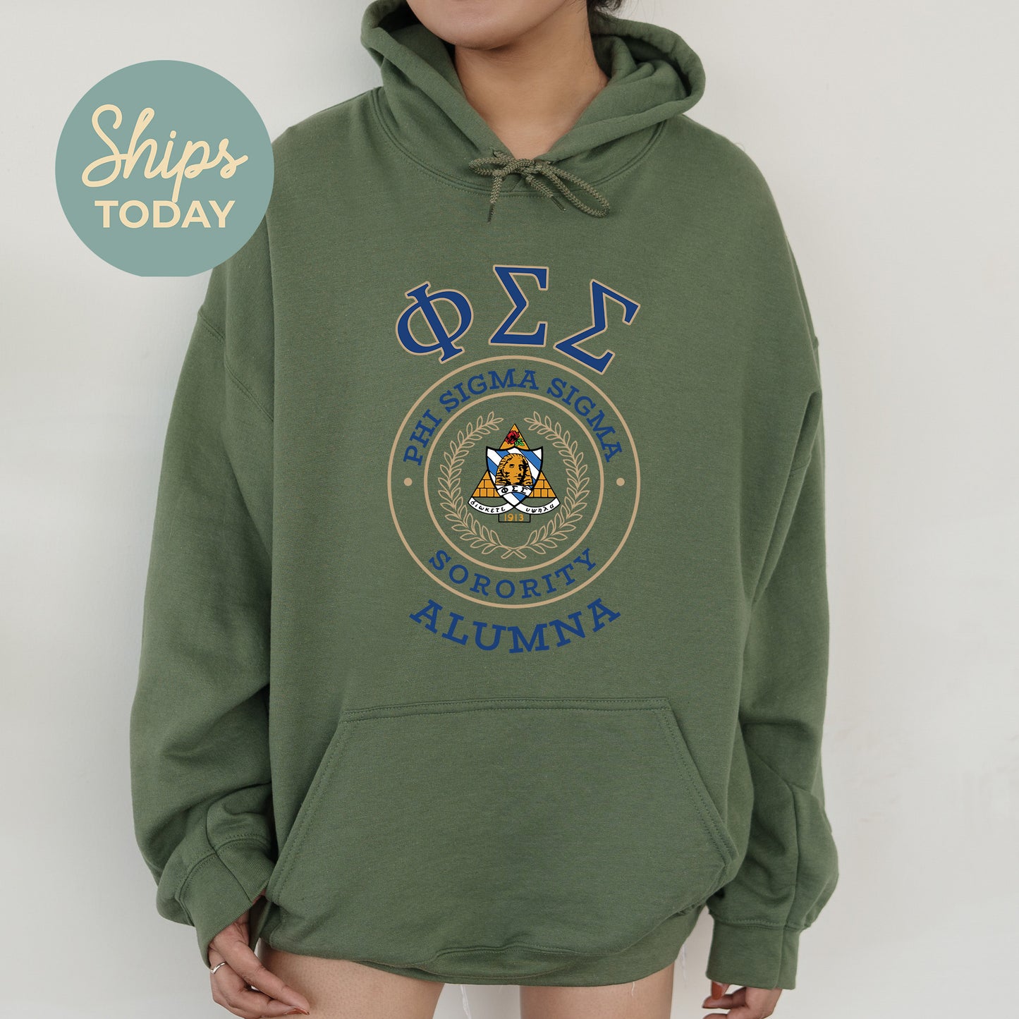 Phi Sigma Sigma Alumna Vintage Sorority Hoodie _ 31028g