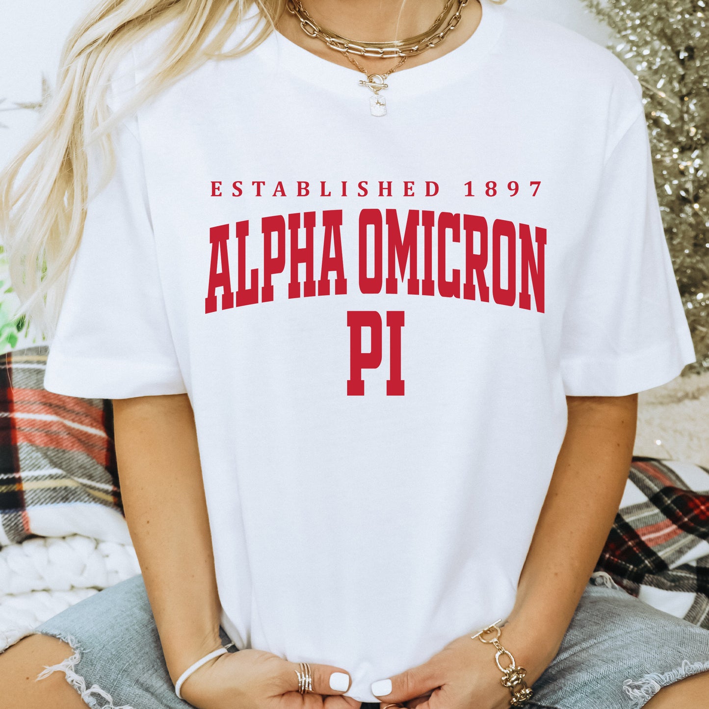 Alpha Omicron Pi Bold Letters Sorority T-shirt _ 35124g