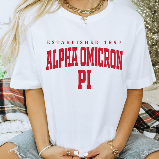 Alpha Omicron Pi Bold Letters Sorority T-shirt _ 35124g