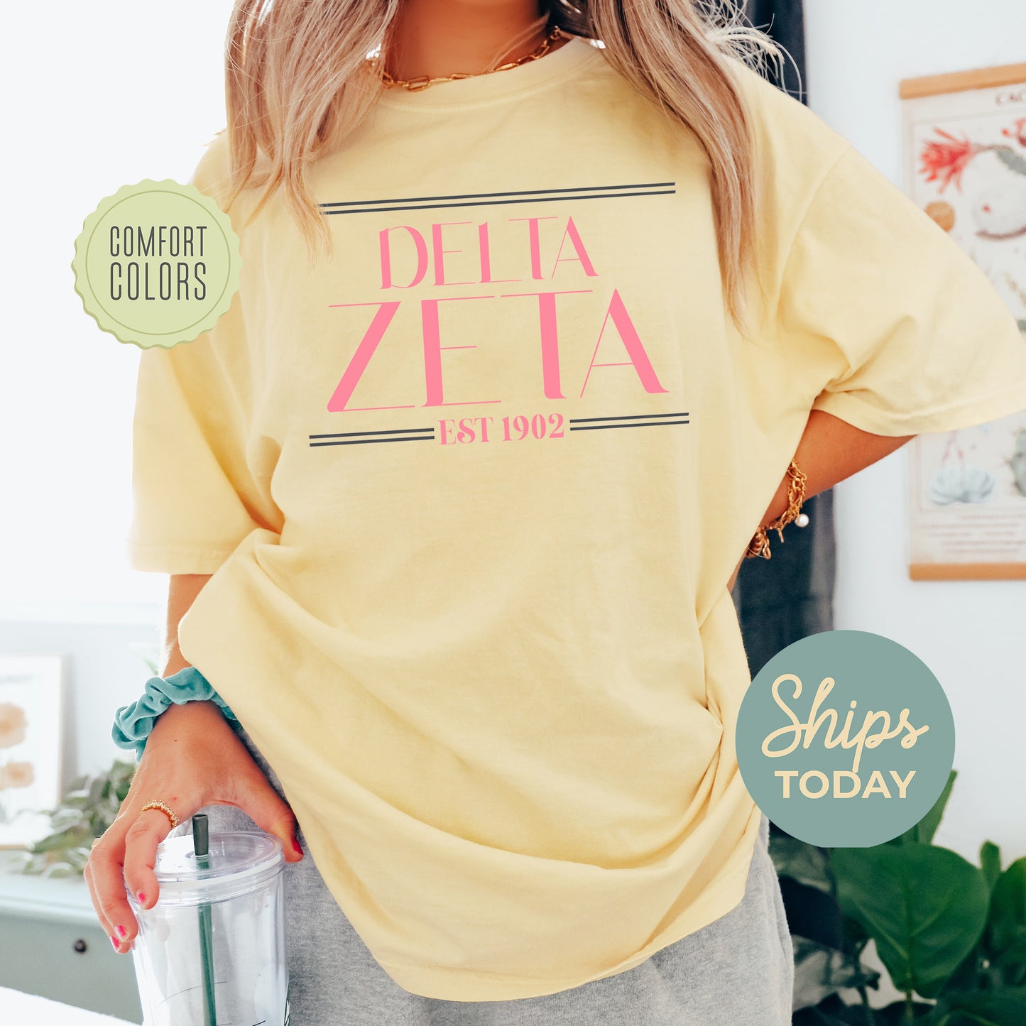 Delta Zeta Greek Harmony Comfort Colors Sorority T-shirt _ 34977g