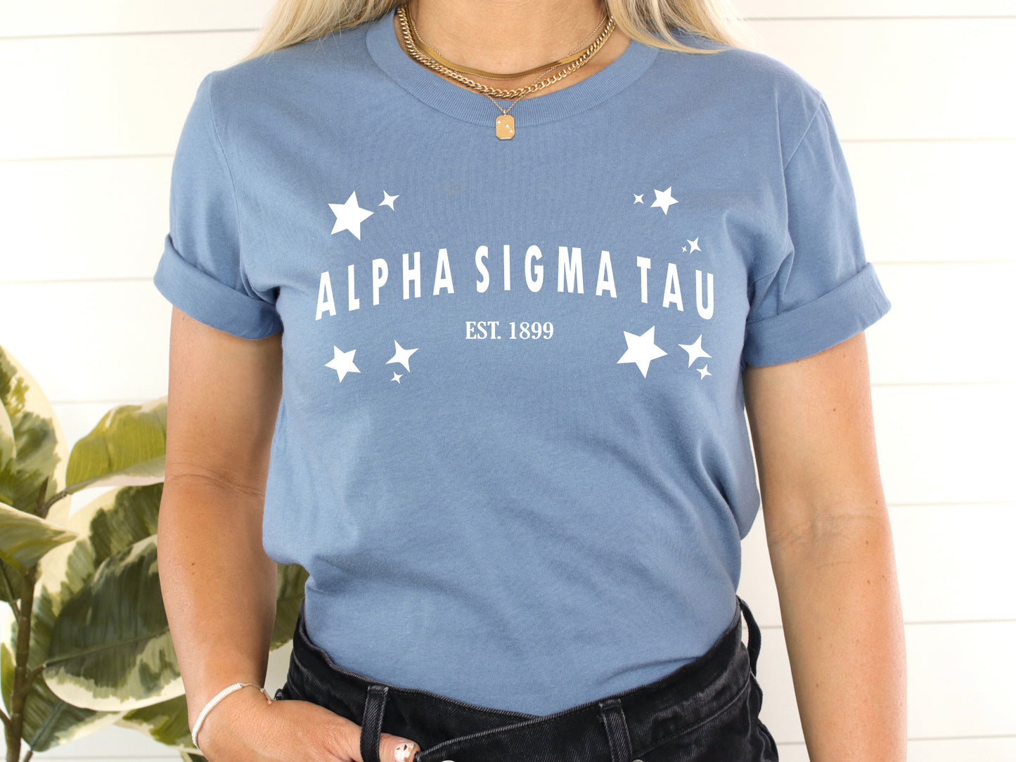 Alpha Sigma Tau Arched Star Sorority T-shirt _ 2271g