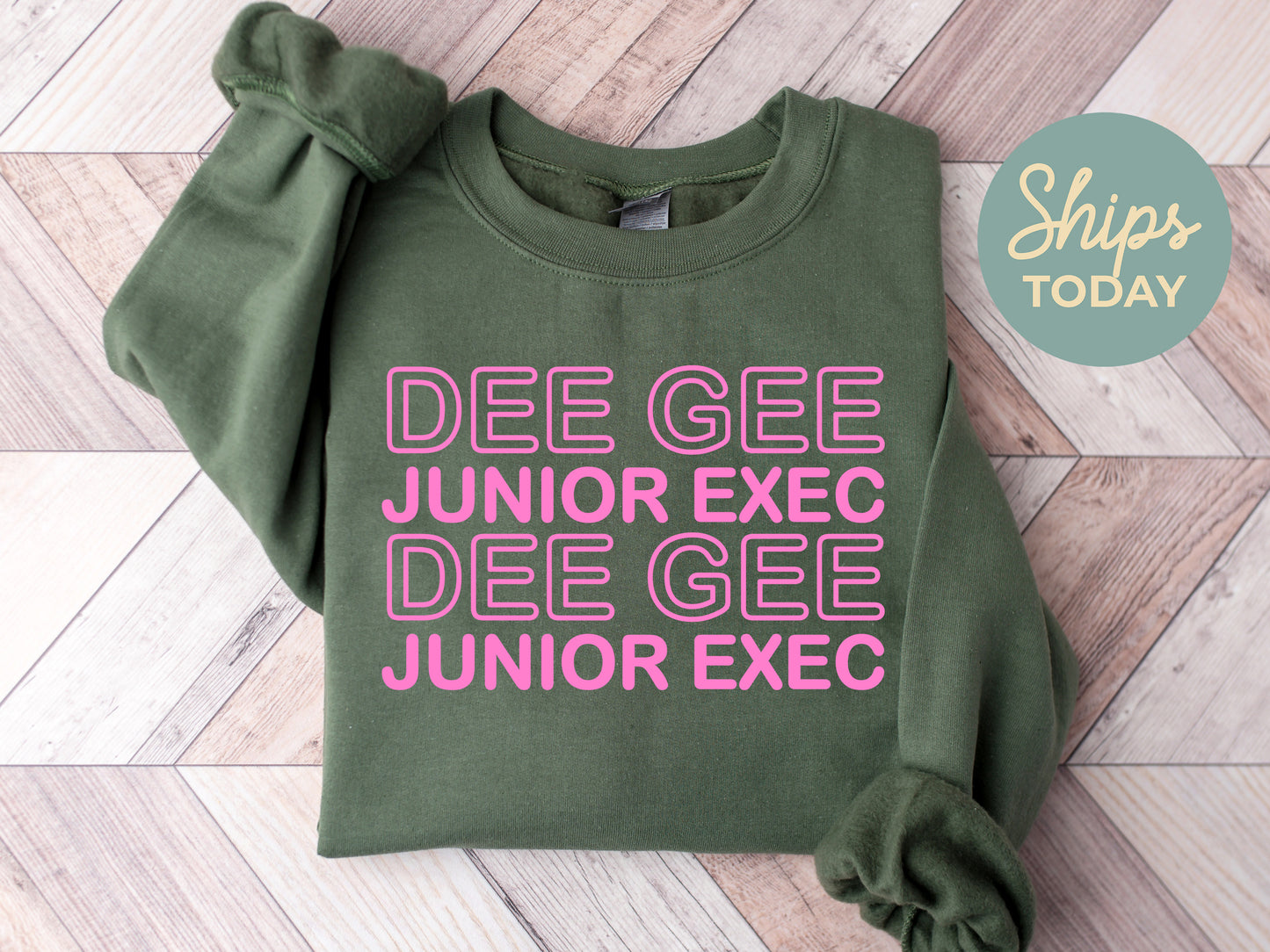 Delta Gamma Junior Exec Sorority Sweatshirt _ 30937g