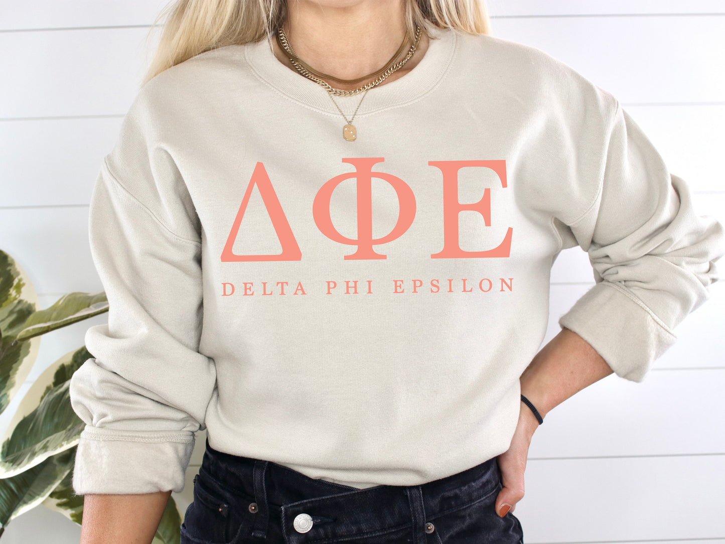 Delta Phi Epsilon Pink Personality Sorority Sweatshirt _ 660g