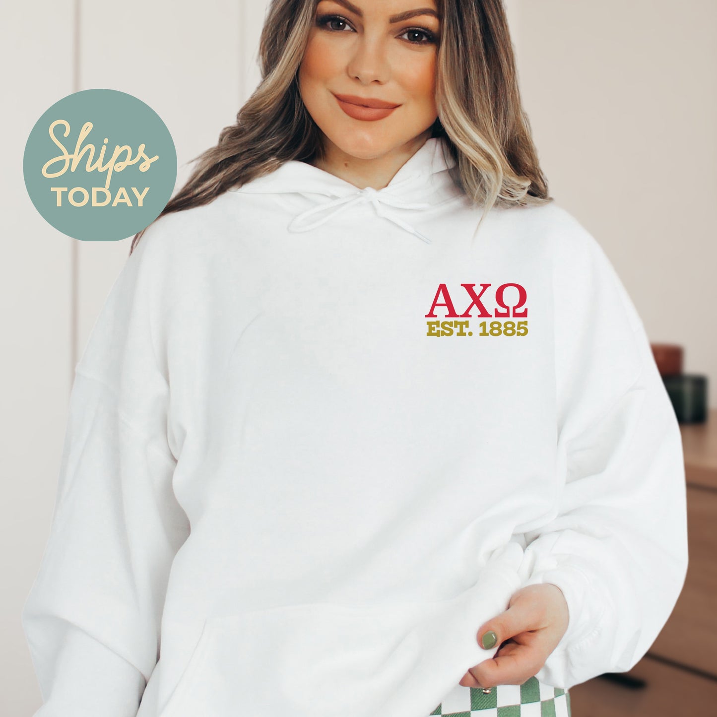 Alpha Chi Omega Crested Tradition Sorority Hoodie _ 32816g