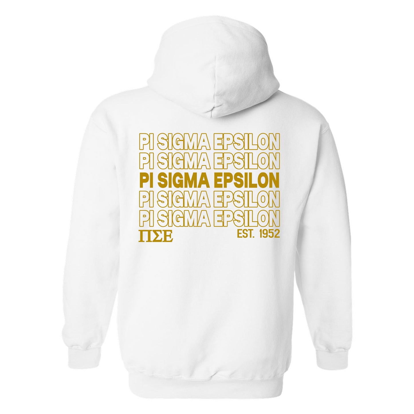 Pi Sigma Epsilon Repeating Letters COED Hoodie _ 35596g
