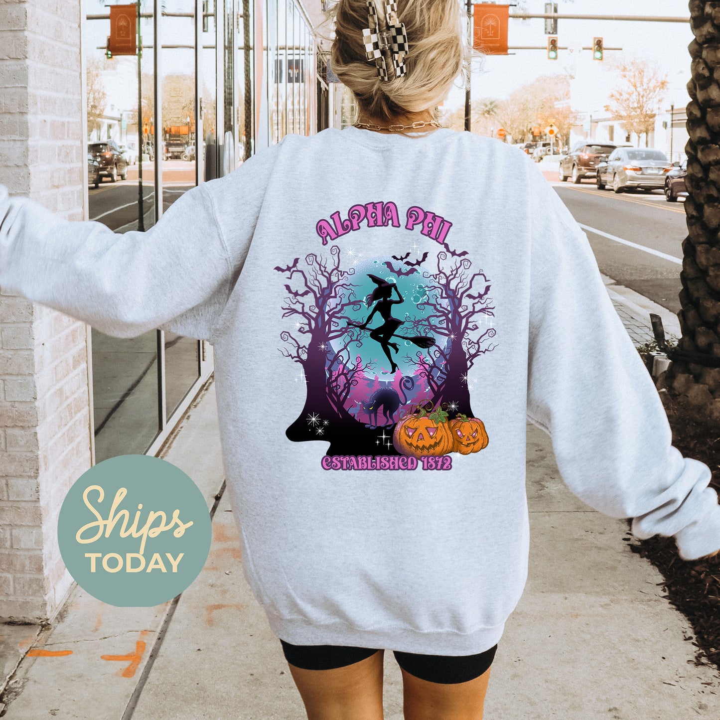 Alpha Phi Halloween Witch Sorority Sweatshirt _ 36231g