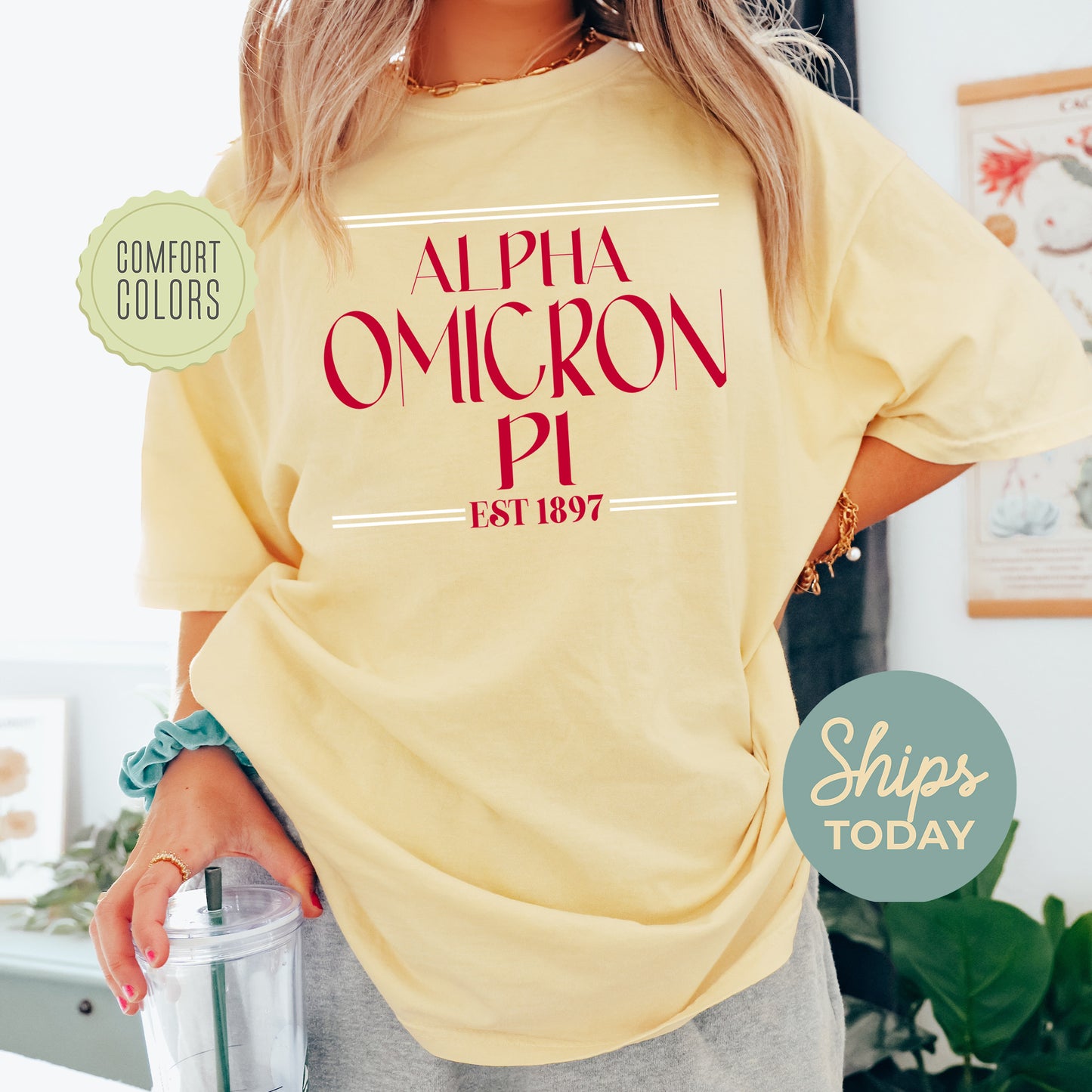 Alpha Omicron Pi Greek Harmony Comfort Colors Sorority T-shirt _ 34968g