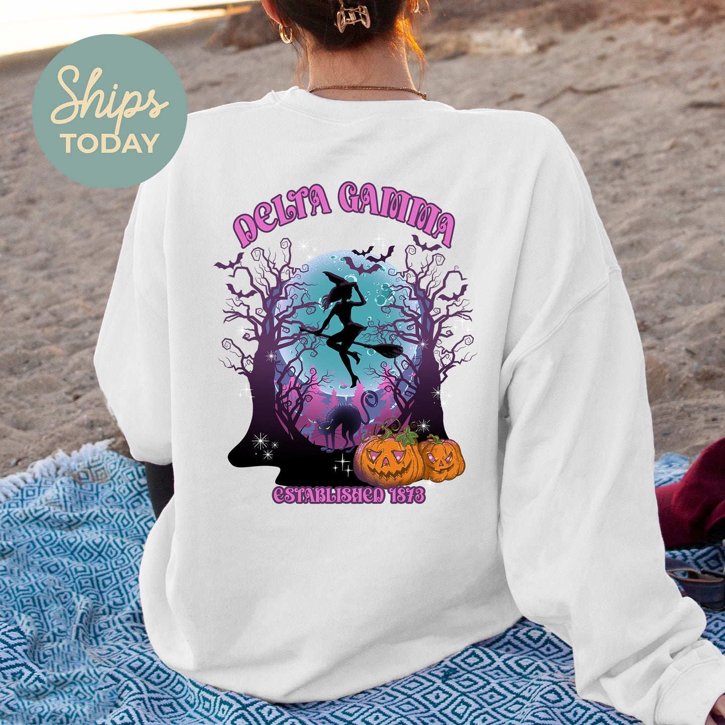 Delta Gamma Halloween Witch Sorority Sweatshirt _ 36237g