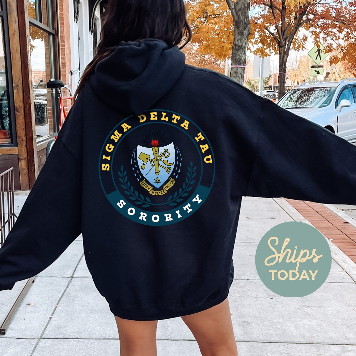 Sigma Delta Tau Crested Tradition Sorority Hoodie _ 32837g