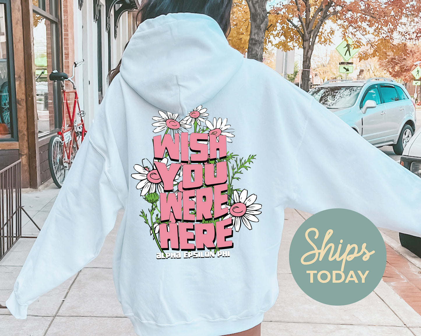 Alpha Epsilon Phi Dreamy Garden Sorority Hoodie _ 31818g