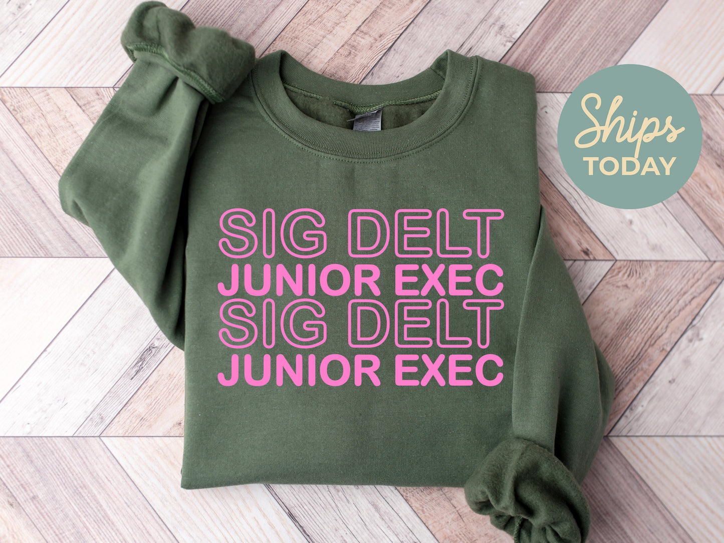 Sigma Delta Tau Junior Exec Sorority Sweatshirt _ 30947g