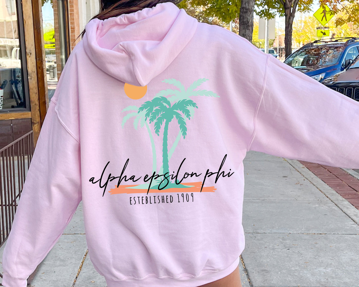 Alpha Epsilon Phi Island Sisterhood Sorority Hoodie _ 33561g