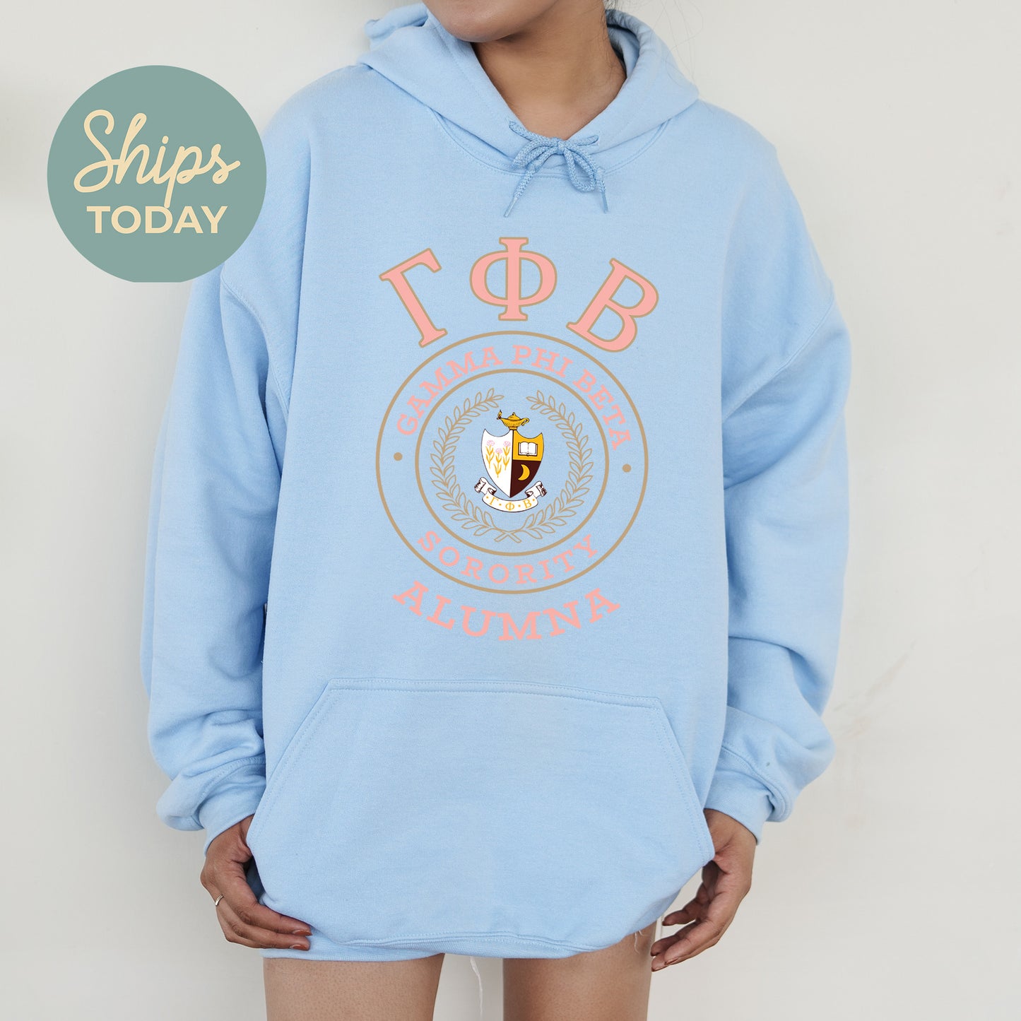Gamma Phi Beta Alumna Vintage Sorority Hoodie _ 31023g
