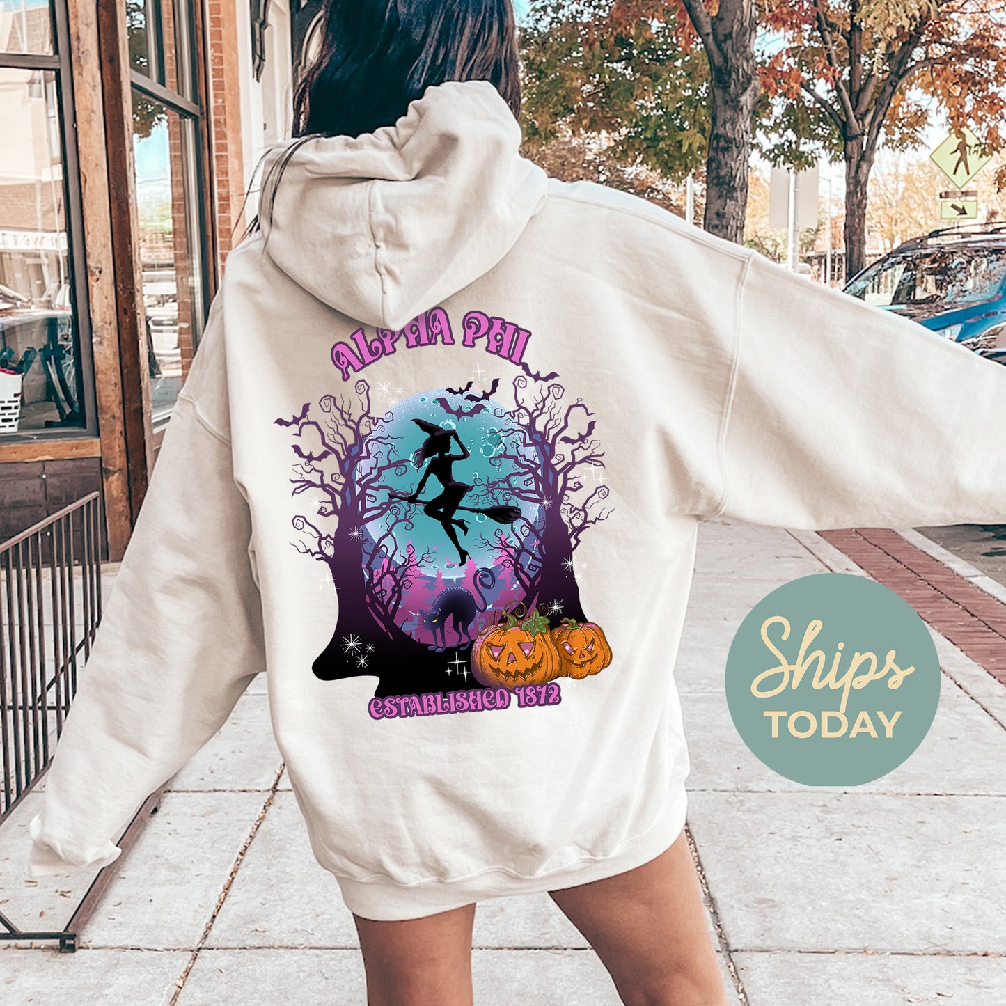 Alpha Phi Halloween Witch Sorority Hoodie _ 36231g