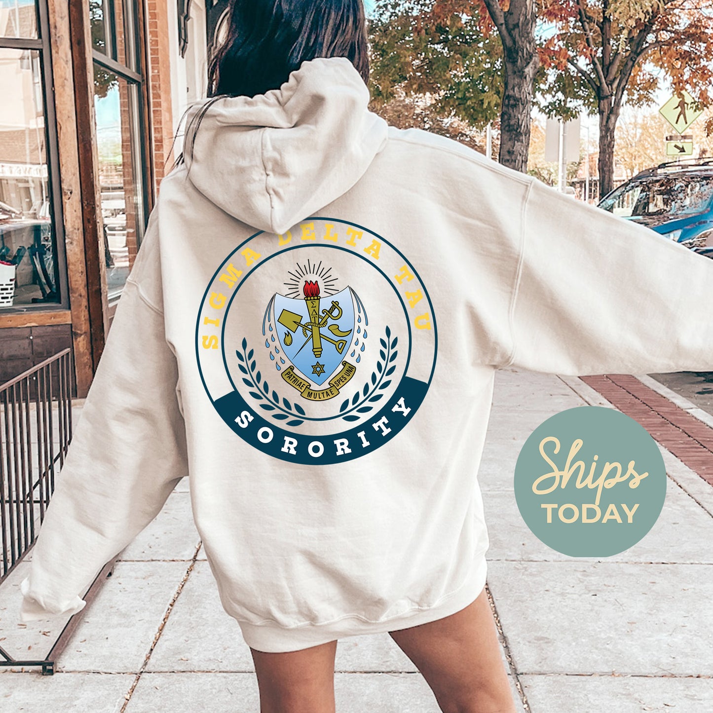 Sigma Delta Tau Crested Tradition Sorority Hoodie _ 32837g