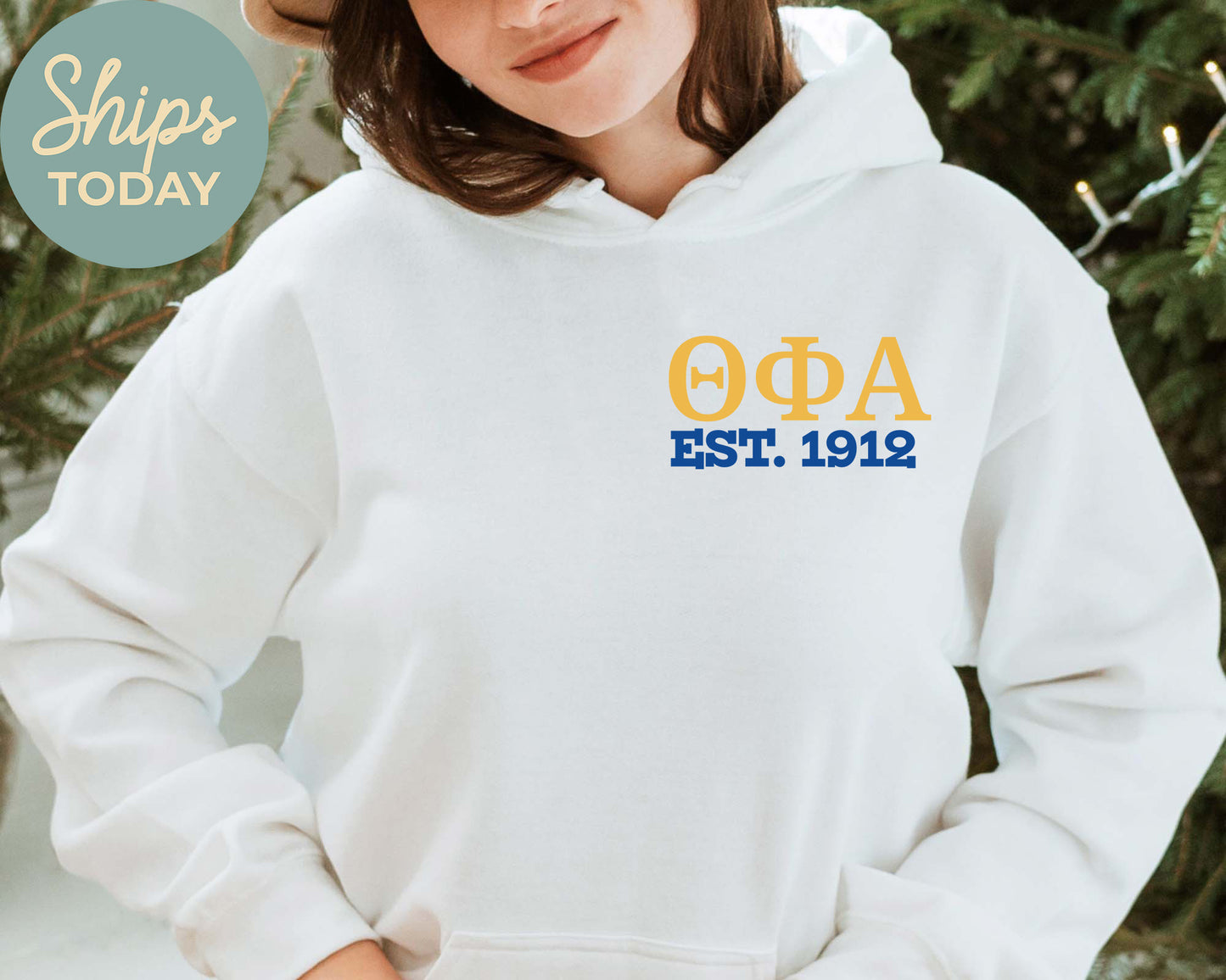 Theta Phi Alpha Crested Tradition Sorority Hoodie _ 32840g