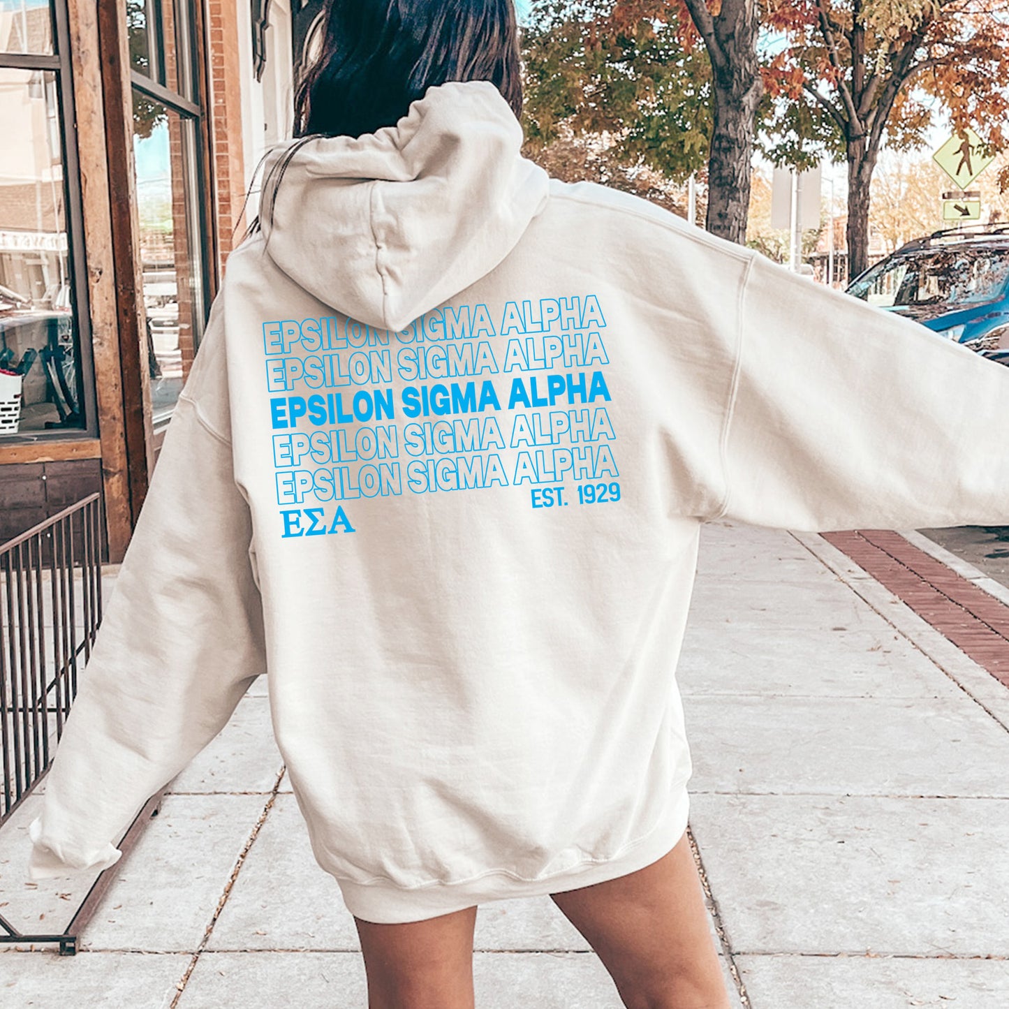 Epsilon Sigma Alpha Repeating Letters COED Hoodie _ 35589g