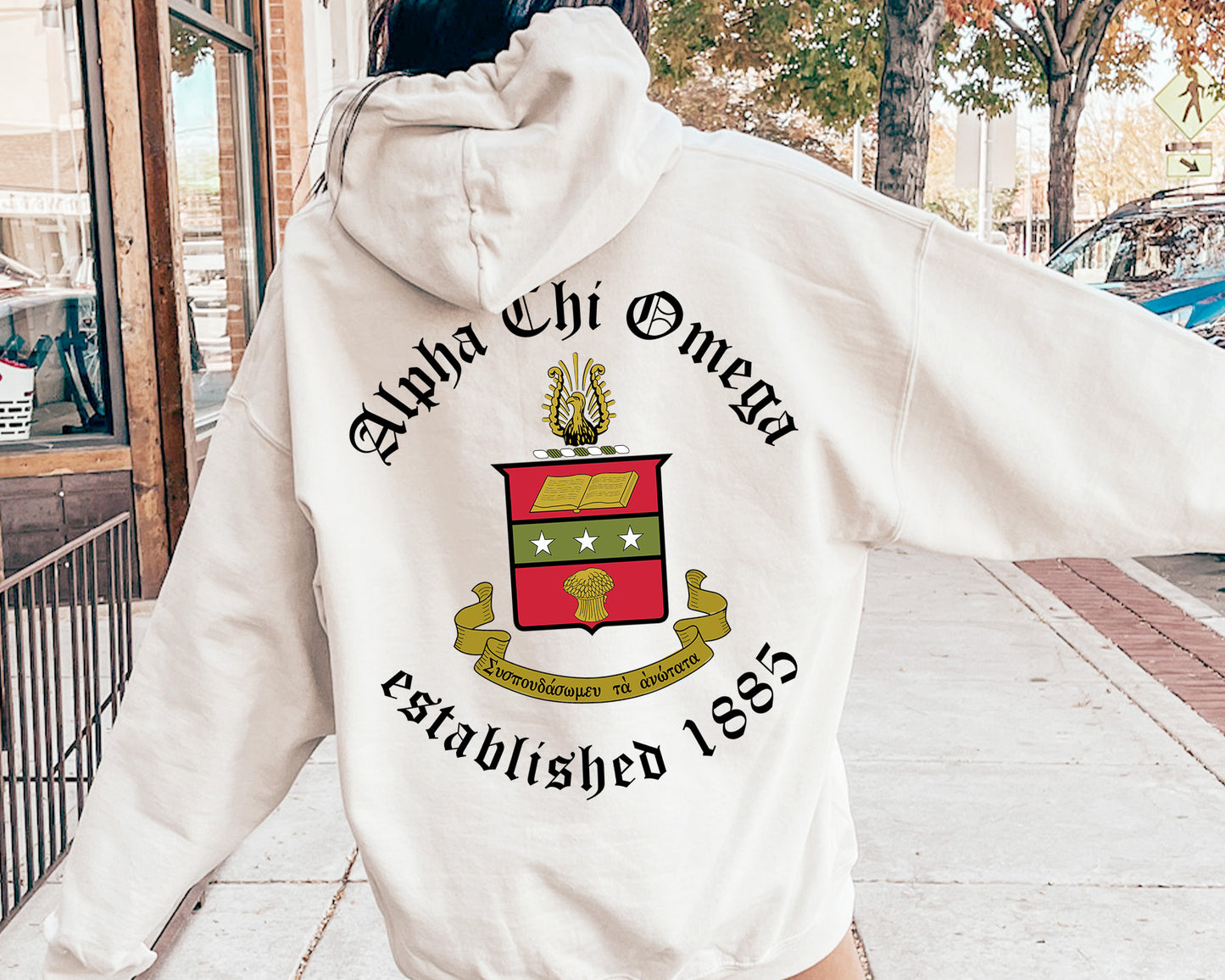 Alpha Chi Omega Old English Crest Sorority Hoodie _ 32920g