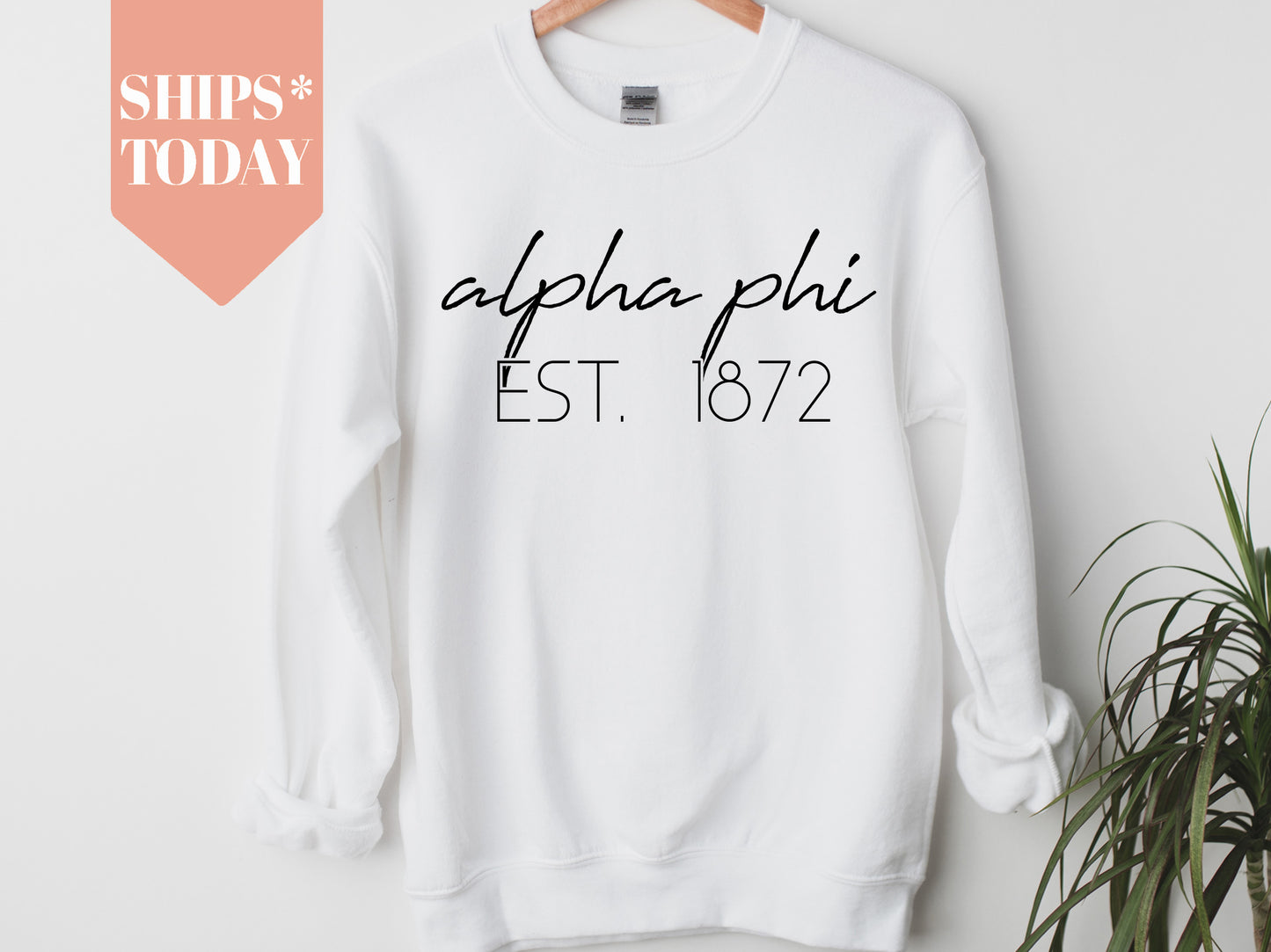 Alpha Phi Black Calligraphy Sorority Sweatshirt _ 2322g