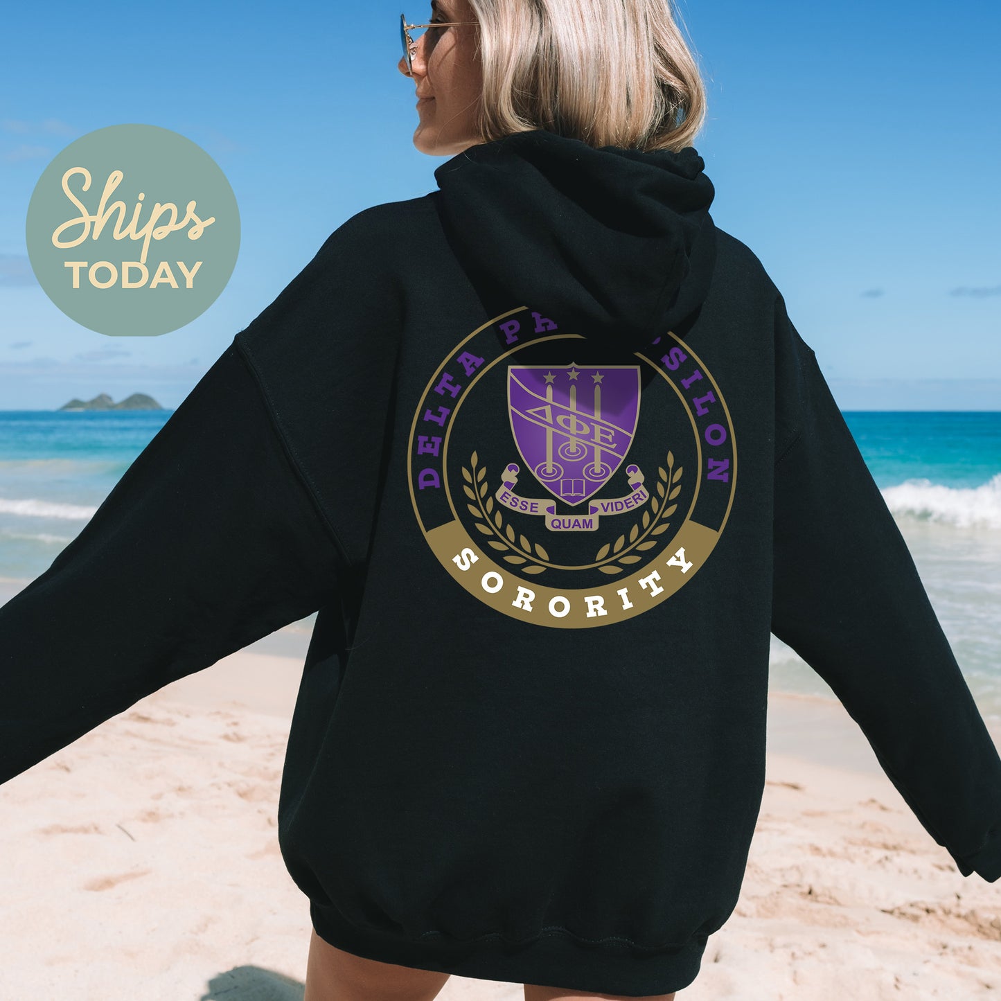 Delta Phi Epsilon Crested Tradition Sorority Hoodie _ 32828g