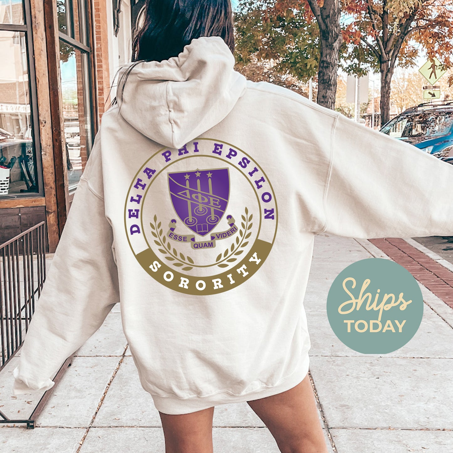 Delta Phi Epsilon Crested Tradition Sorority Hoodie _ 32828g